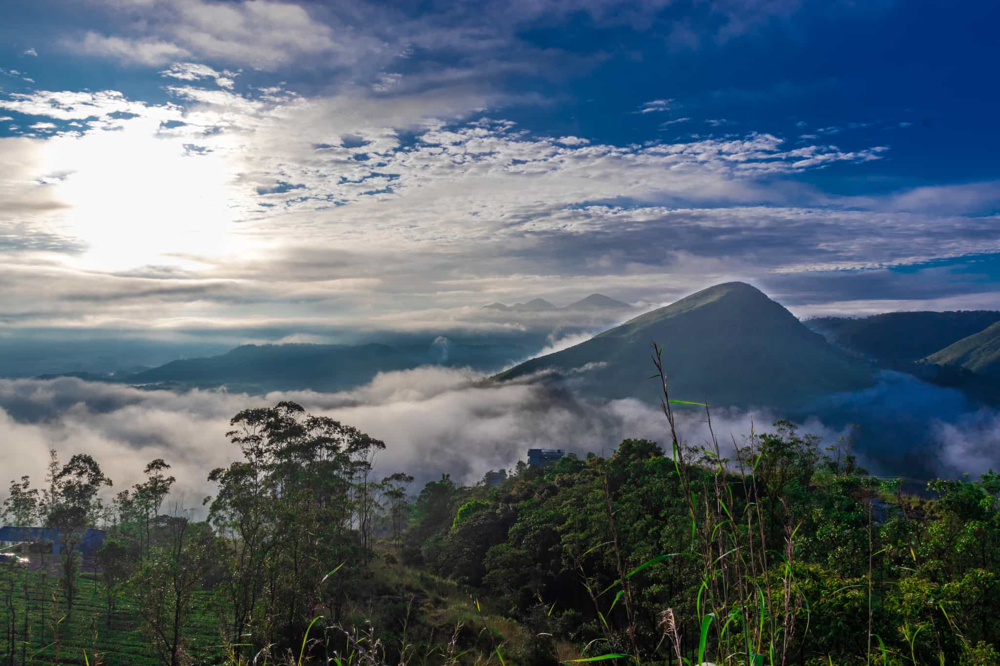 Western Ghats, Kerala, India. Photo: Getty - 1281927275