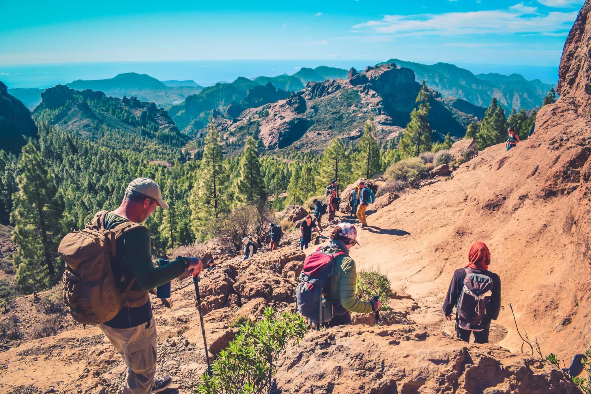 Group of hikers proceeding against a landscape of mountains and forests in Gran Canaria.