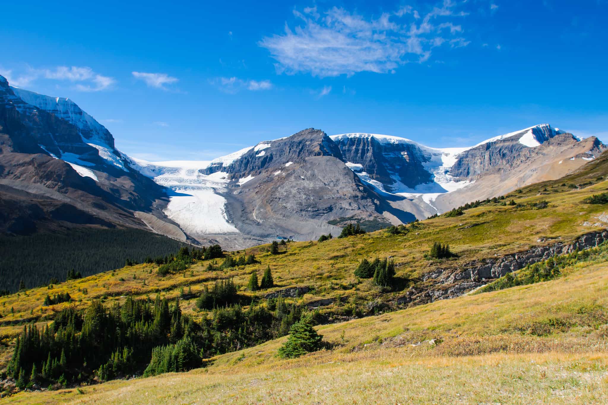 Wilcox Pass, Columbia Icefield, Rockies, Canada