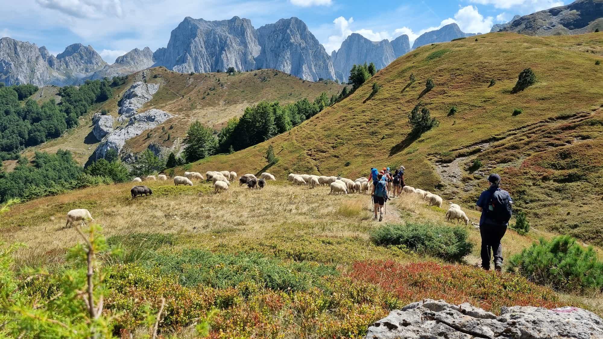 Mountain views, Albania. Photo: Host/Zbulo