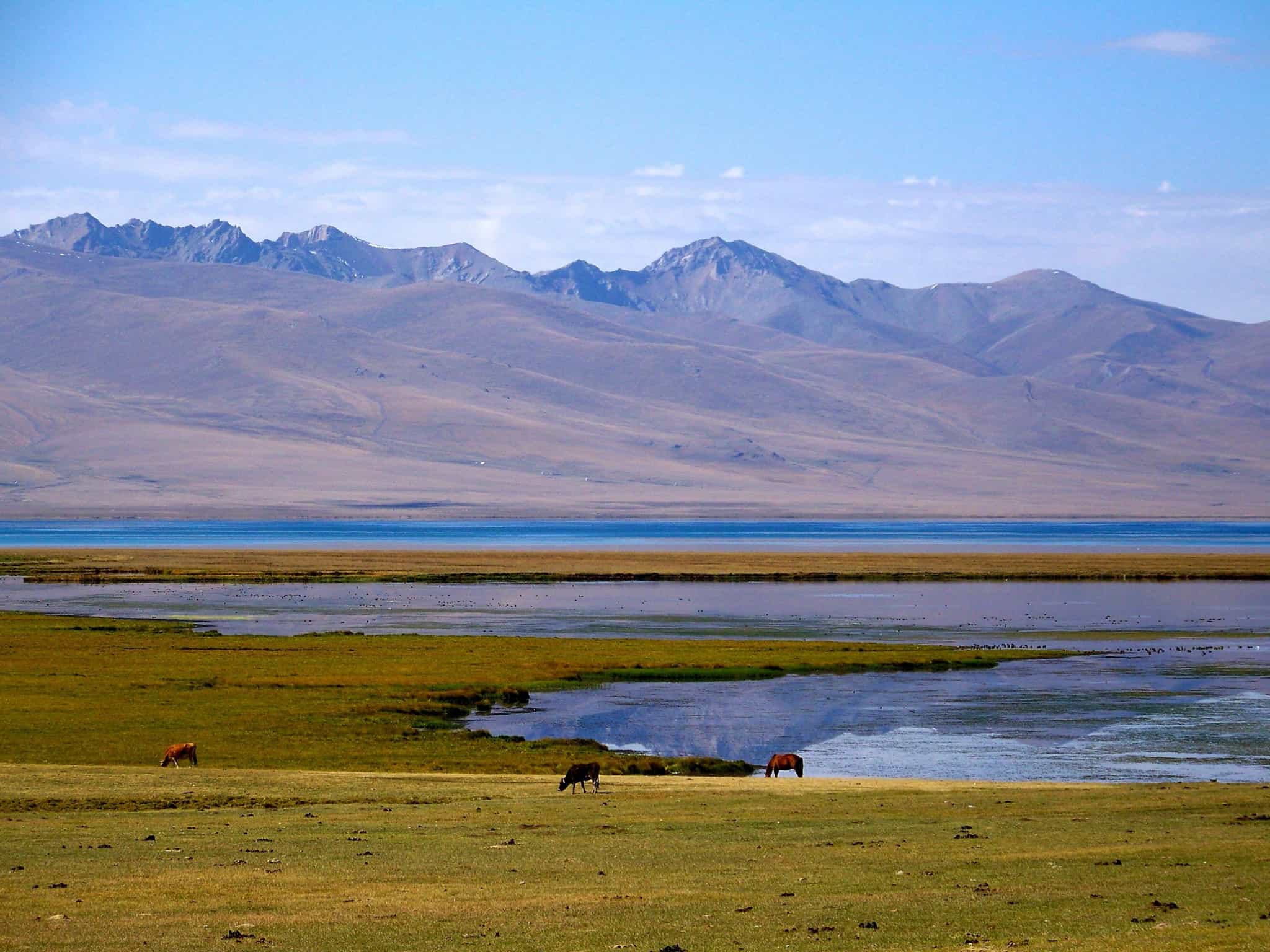 Song Kul Lake, Kyrgyzstan. Photo: Host/Nomads Land