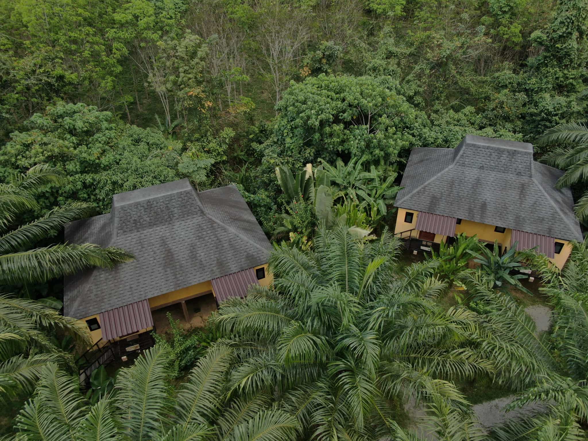 thailand_khaosok_anuraklodge7_intrepid.jpg