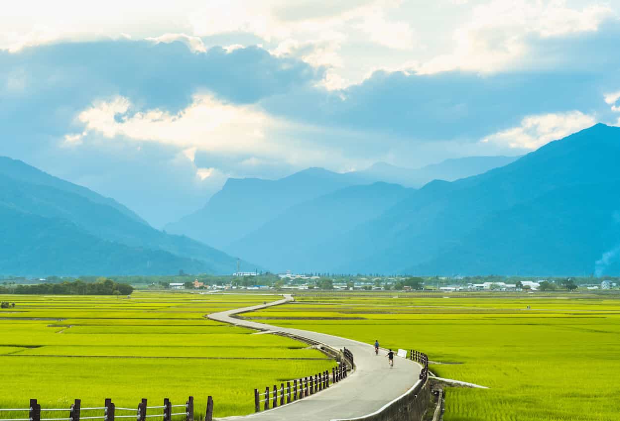 Cycling through Chishang plantations in Taiwan. Photo: shutterstock 1714148260