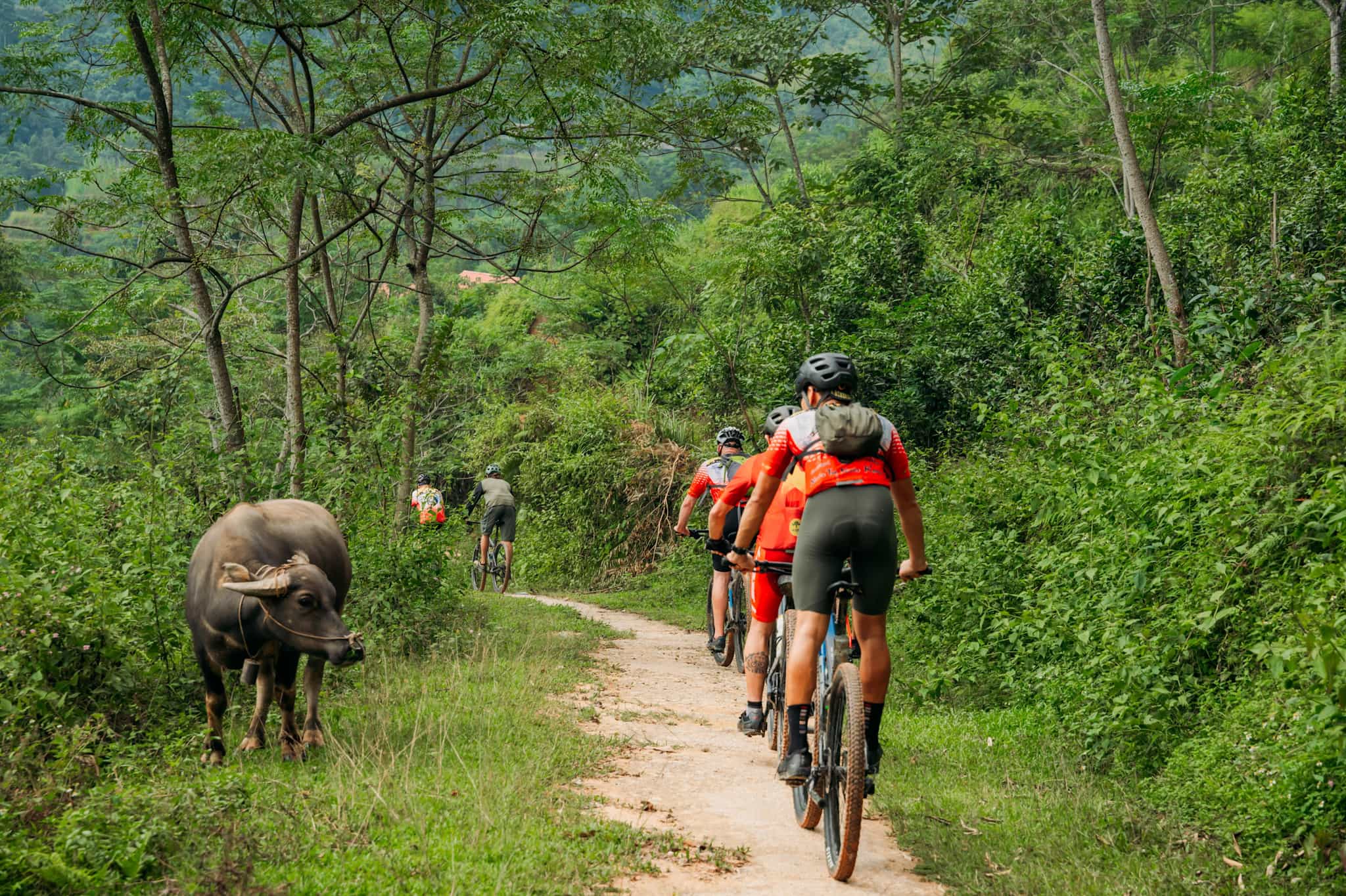 Cycling, Hoang Su Phi, Vietnam. Photo: Host/Mr Biker Saigon