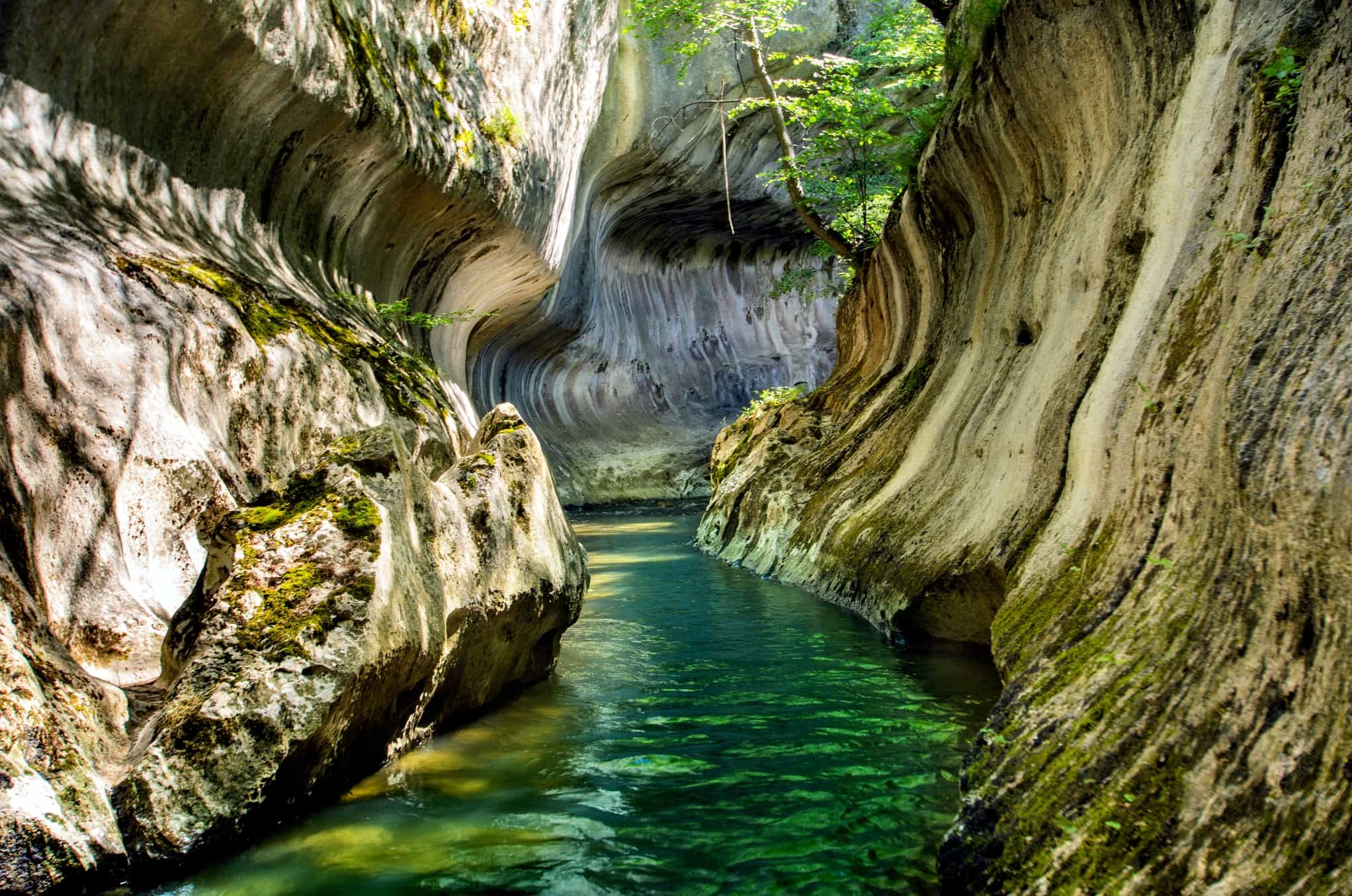 Banitei Gorge, Romania. Photo: Shutterstock-1325438414
