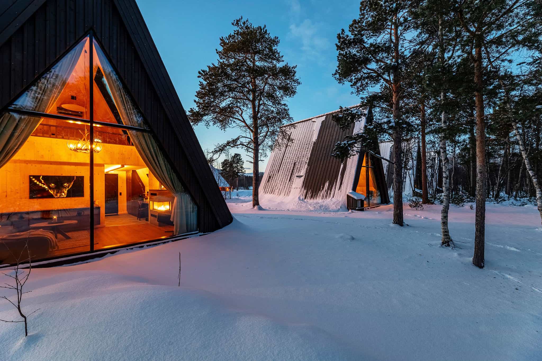 Forest Suite, Holmen Husky: source: Holmen Husky (host)