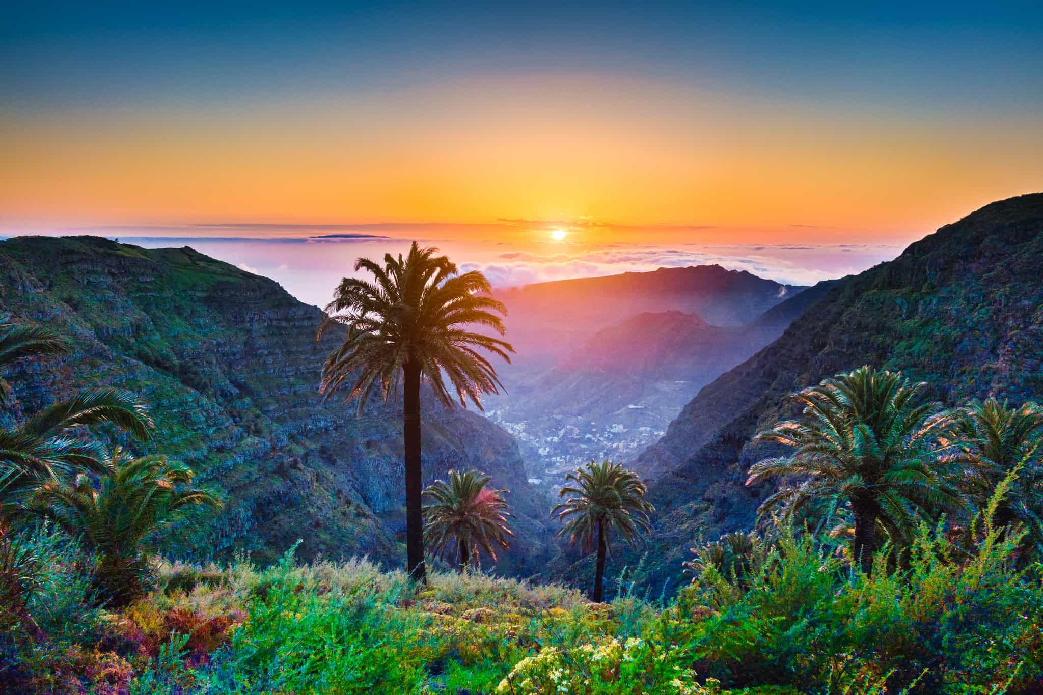 Tropical valley with palm trees and mountains at sunset, Gran Canaria, Spain.