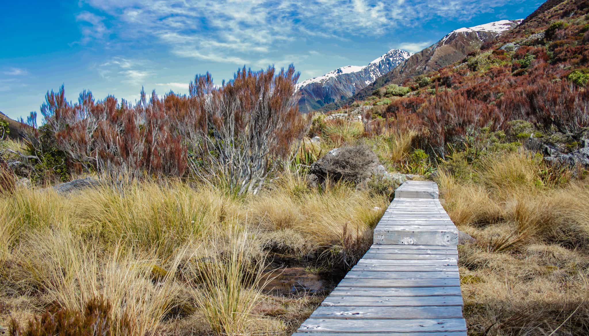 Arthur's Pass National Park, New Zealand. Photo: GettyImages-1087580806