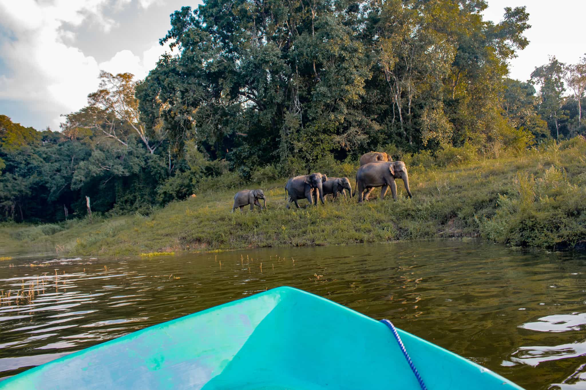 Gal Oya Boat Safari, Sri Lanka.