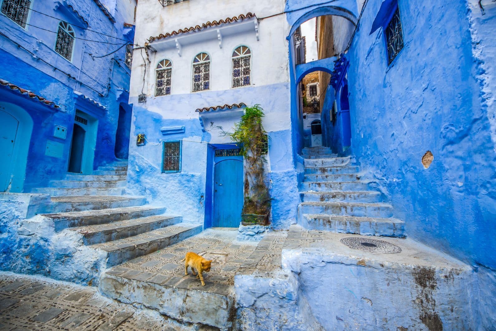 Chefchaouen, Morocco's 'blue city'