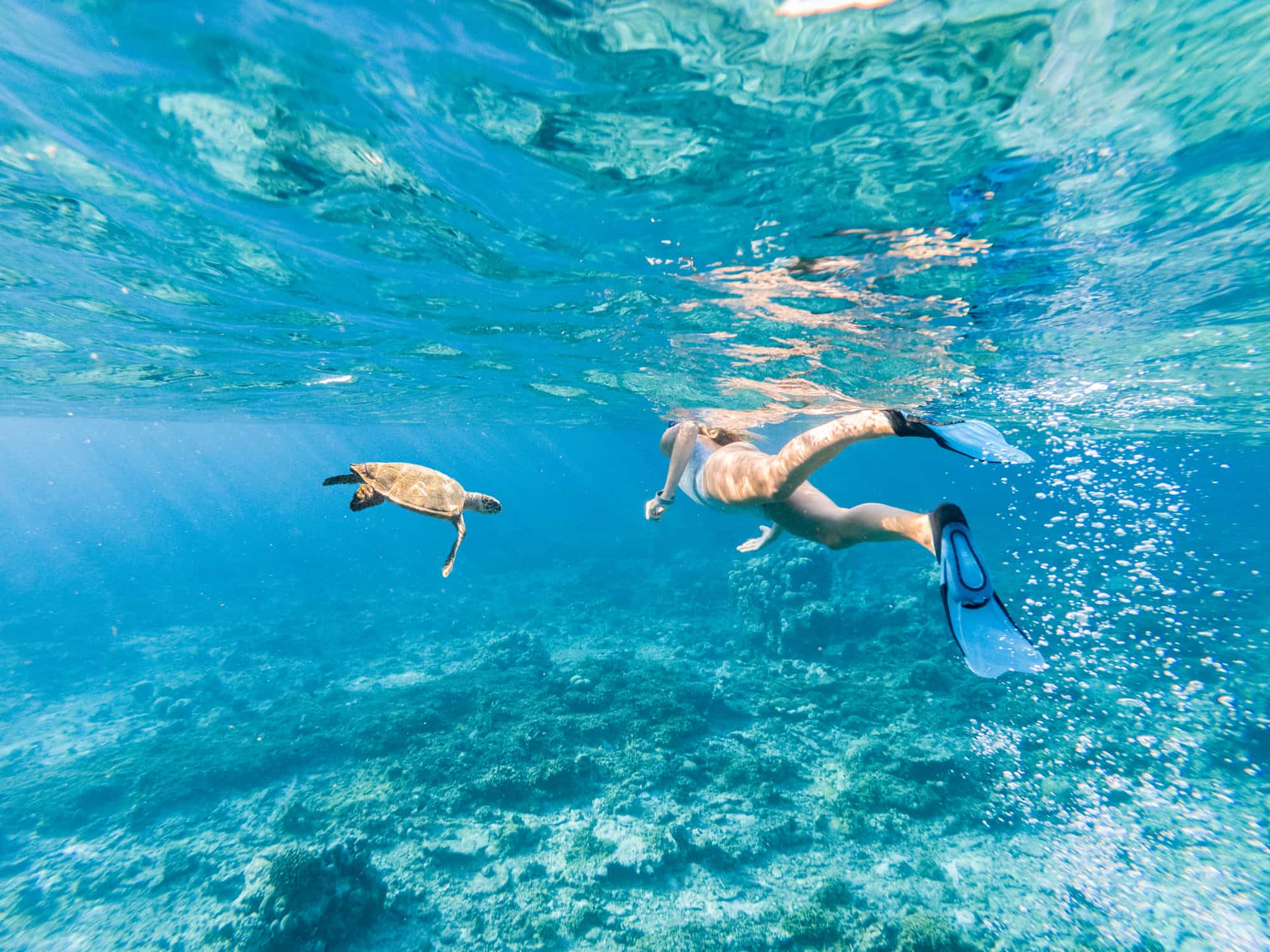 Snorkelling, Maldives. Photo: GettyImages-1364624347
