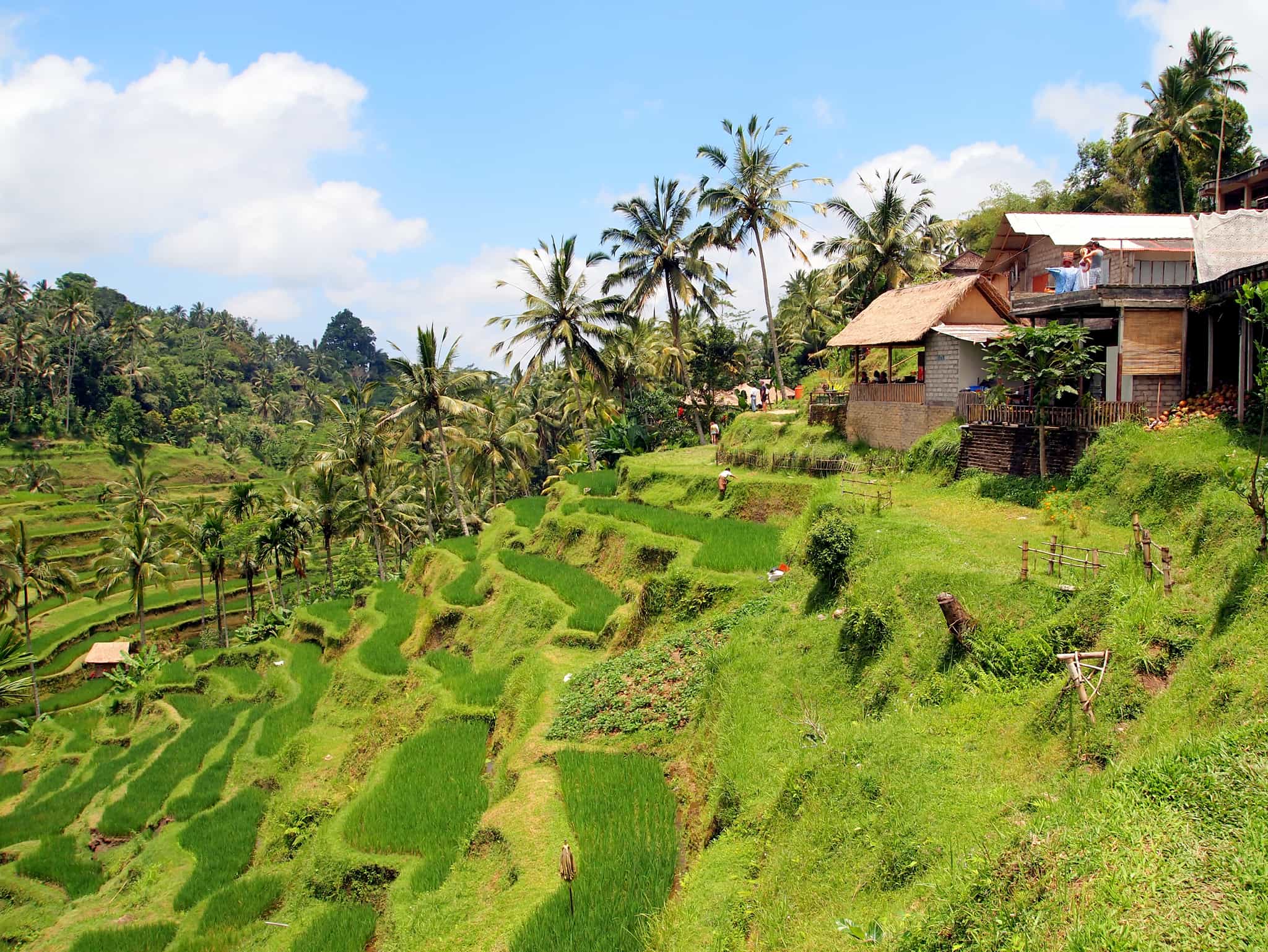 Tampaksiring, Indonesia. Photo: shutterstock_98860454
