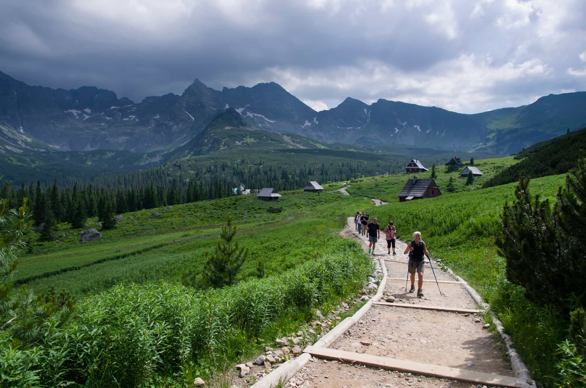 Meadow, Tatra Mountains, Poland. Photo: Host // Carpathian Adventures