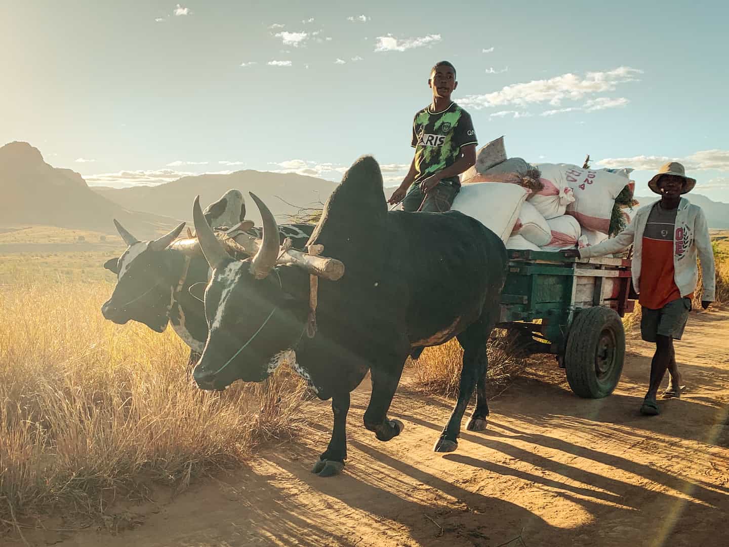 Travelling through Madagascar. Photo: Customer/