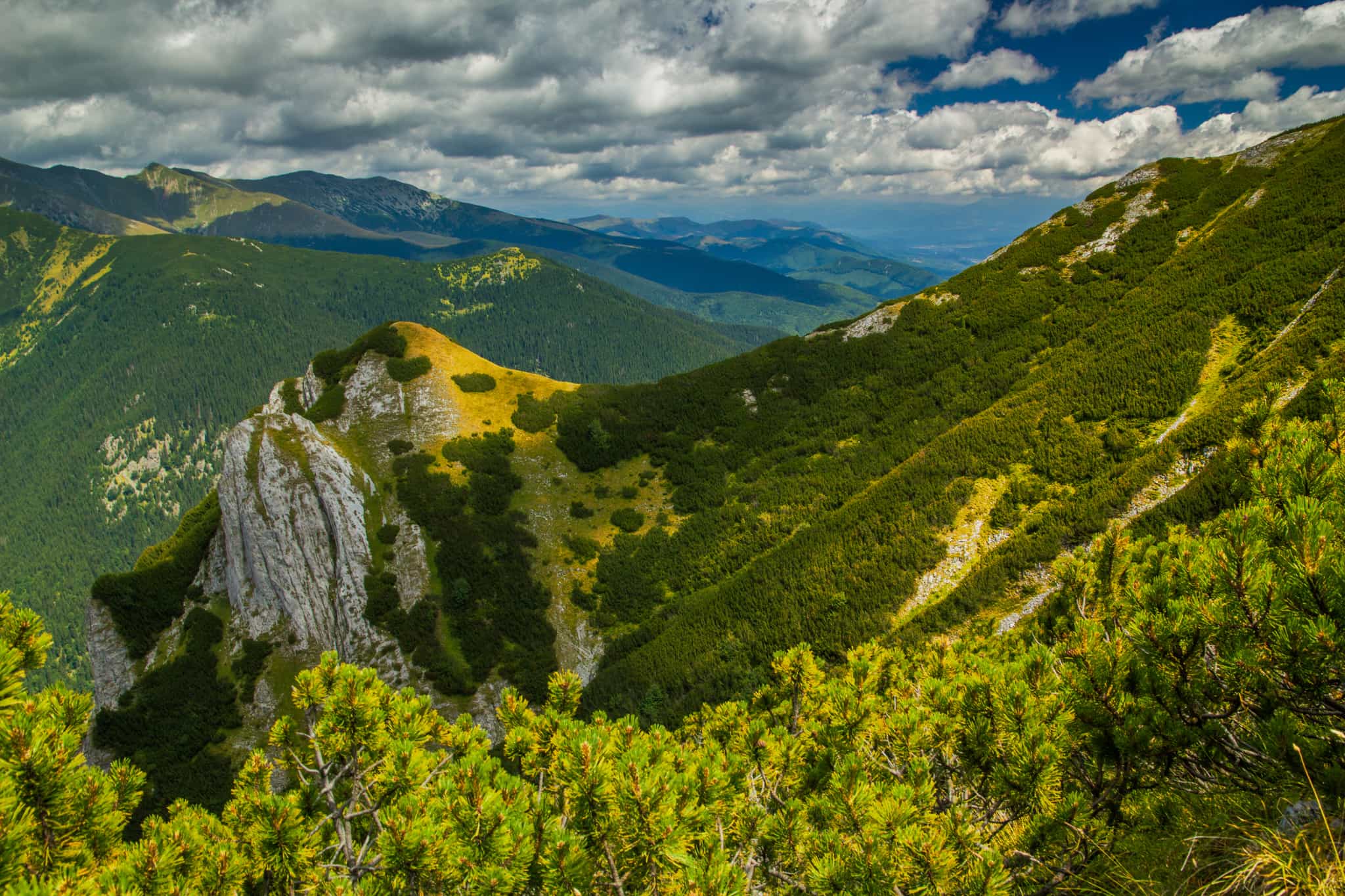 View of the Retezat Mountains near Piatra Iorgovanului, Romania. Photo: shutterstock 1662411130