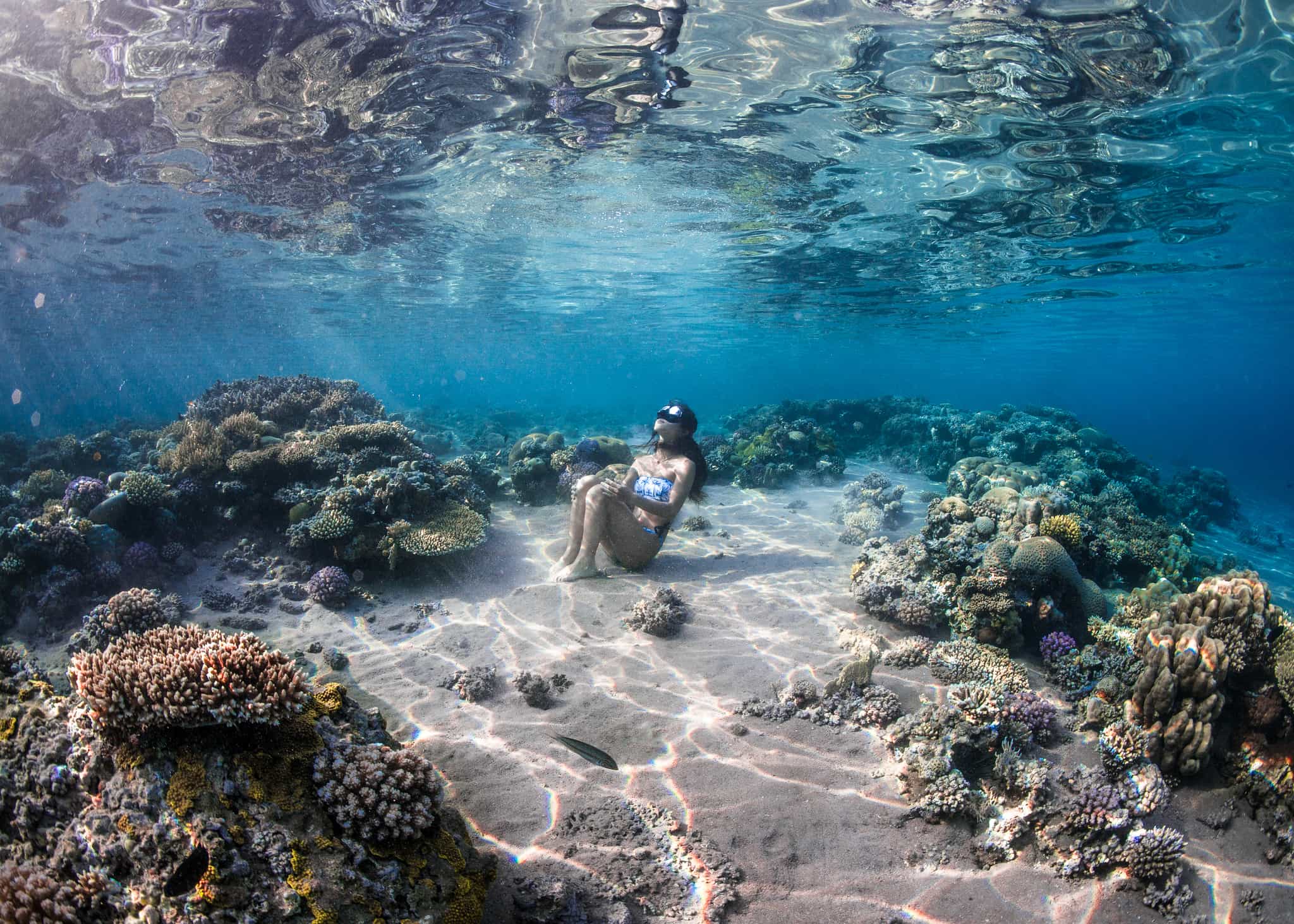 Snorkelling Red Sea, Getty