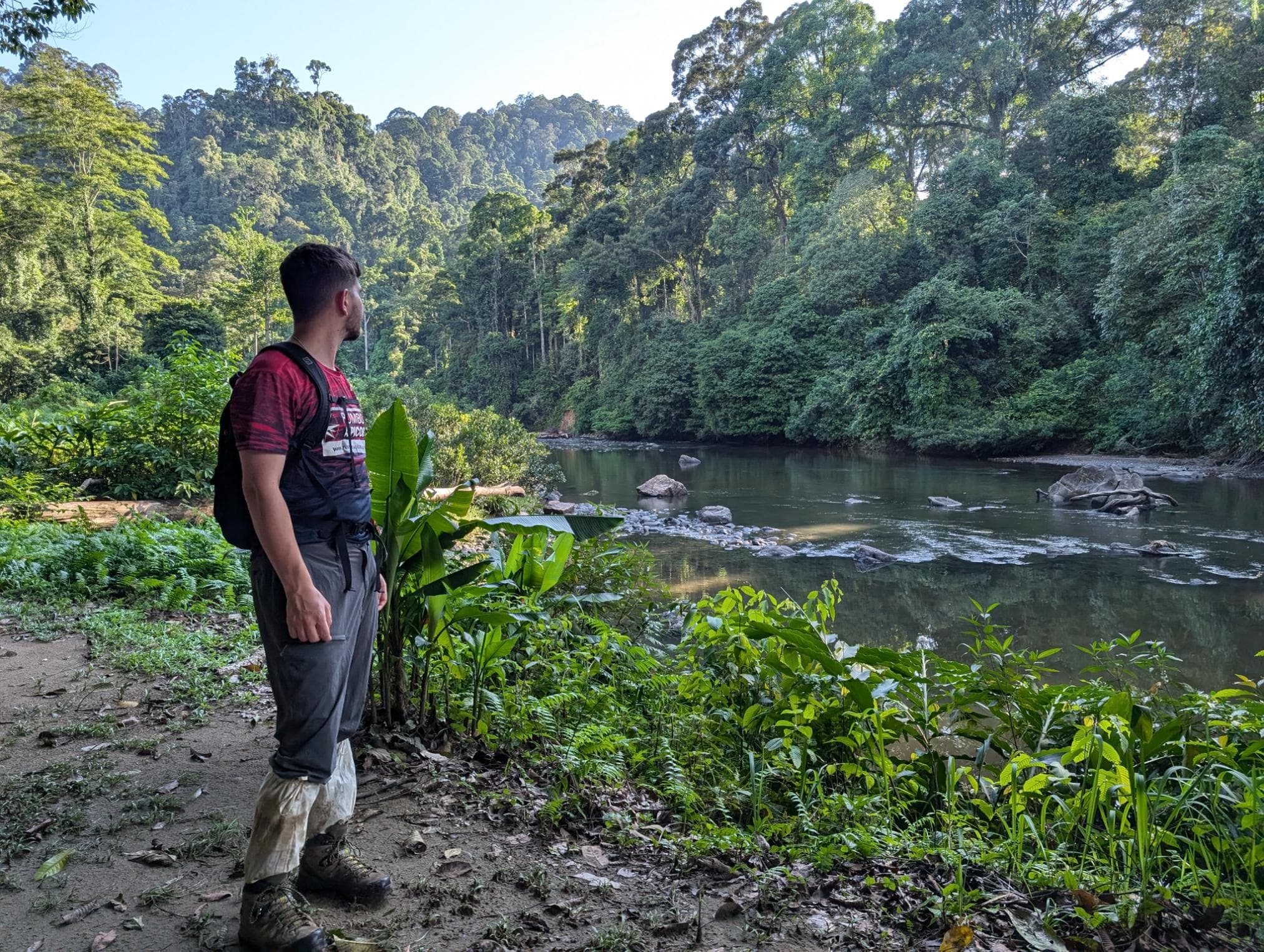 The Danum Valley in Borneo - photo credit Stuart Kenny