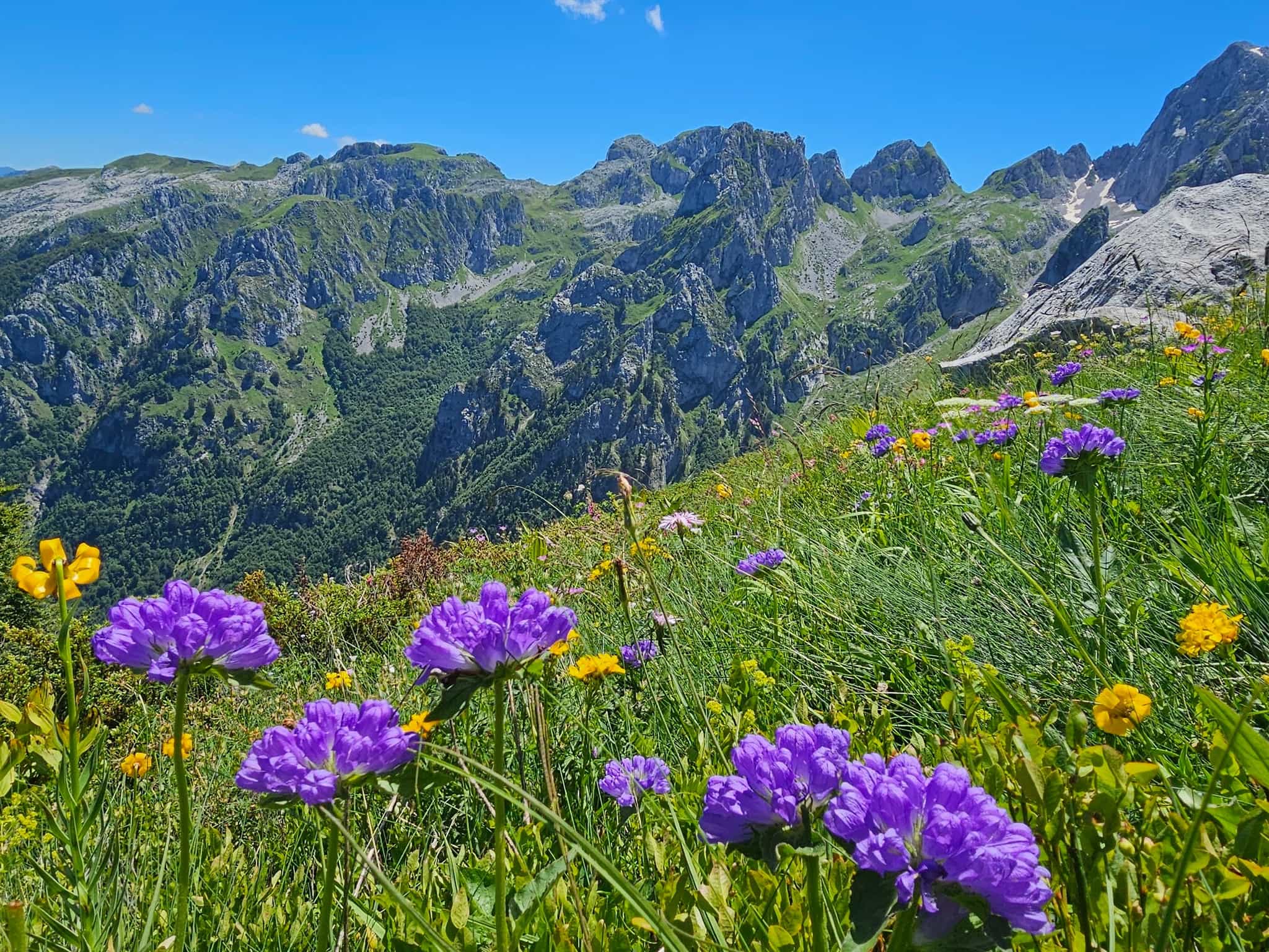 Landscape near Taljanka and Popodija, Albania. Photo: host, Zbulo