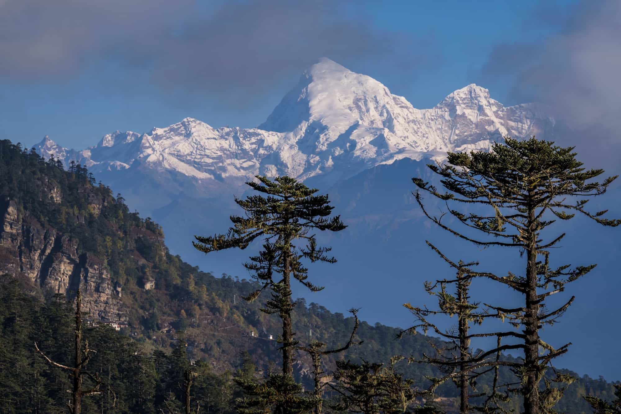 Chele la Pass, Bhutan. Photo: Bhutan Tourism Department (Credit: Marcus Westberg)