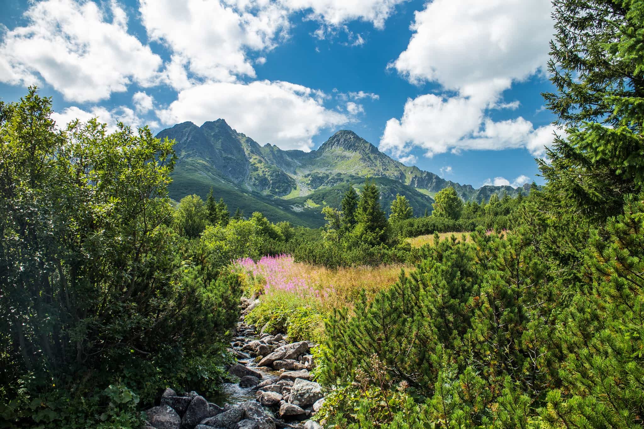 High Tatras mountains, Slovakia