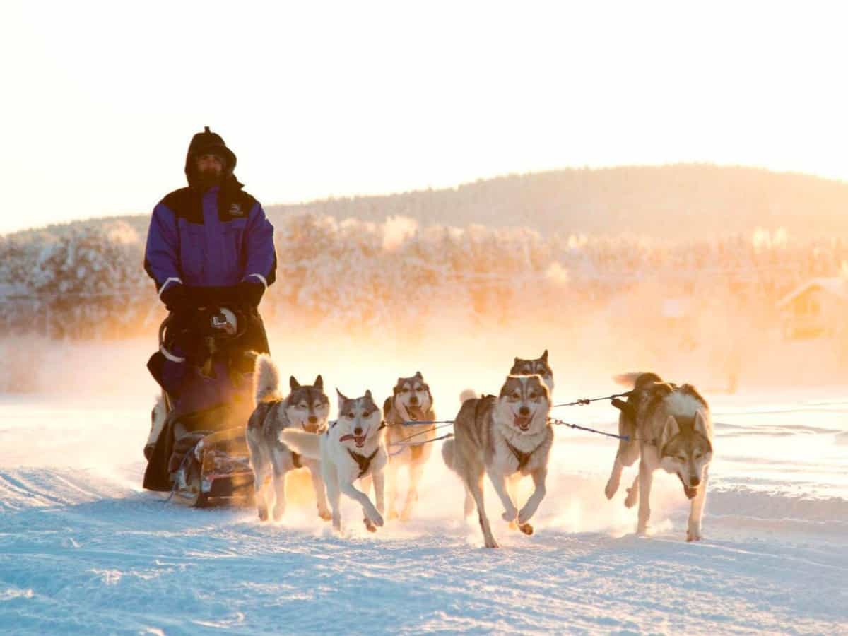 Husky sledding in Pyha, Finland.