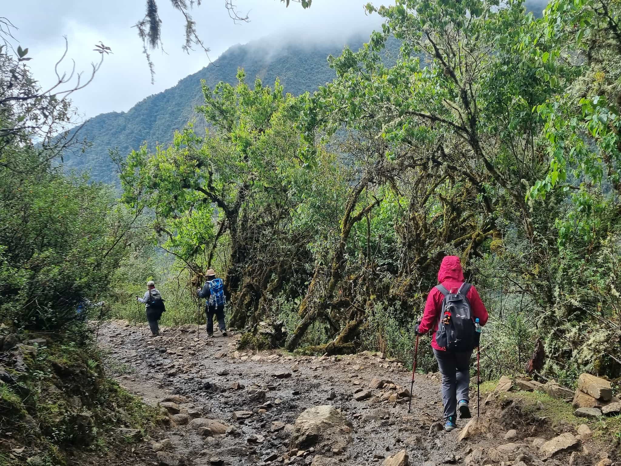 Hikers on the Salkantay trail to Colpapampa in Peru.
