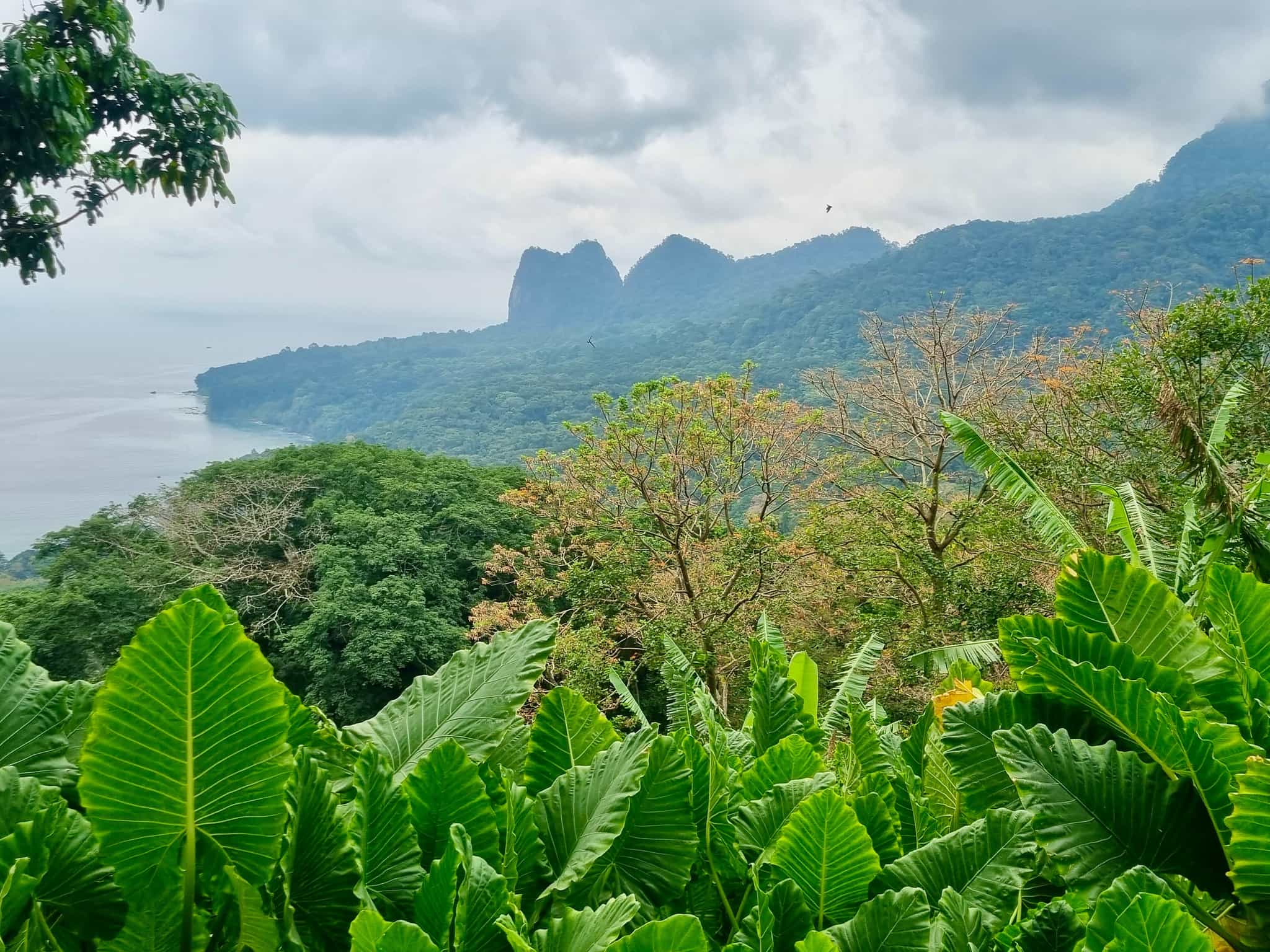 View of Principe wilderness, Principe island, Sao Tome