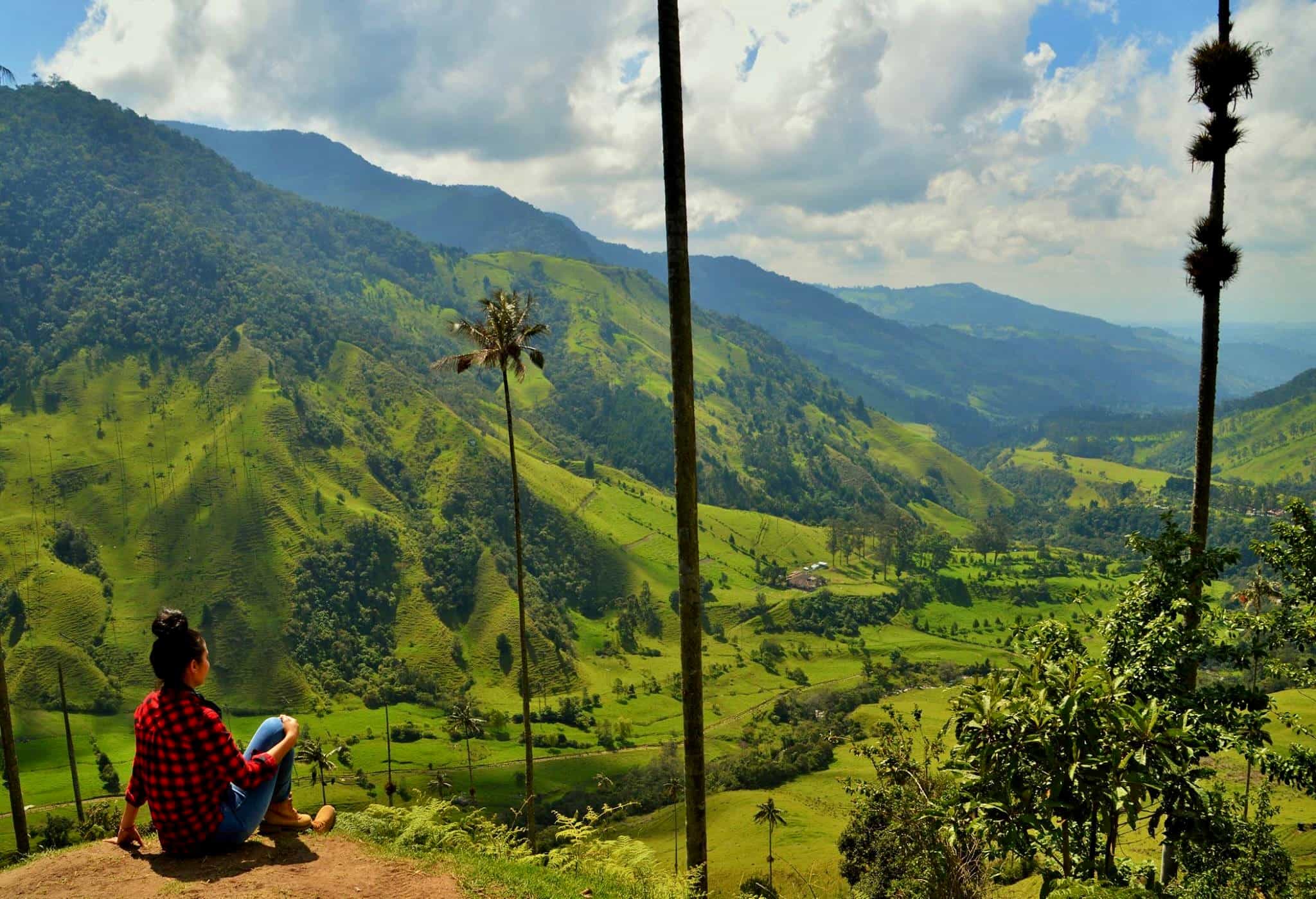 Cocoroa Valley, Colombia. photo: Marta Marinelli