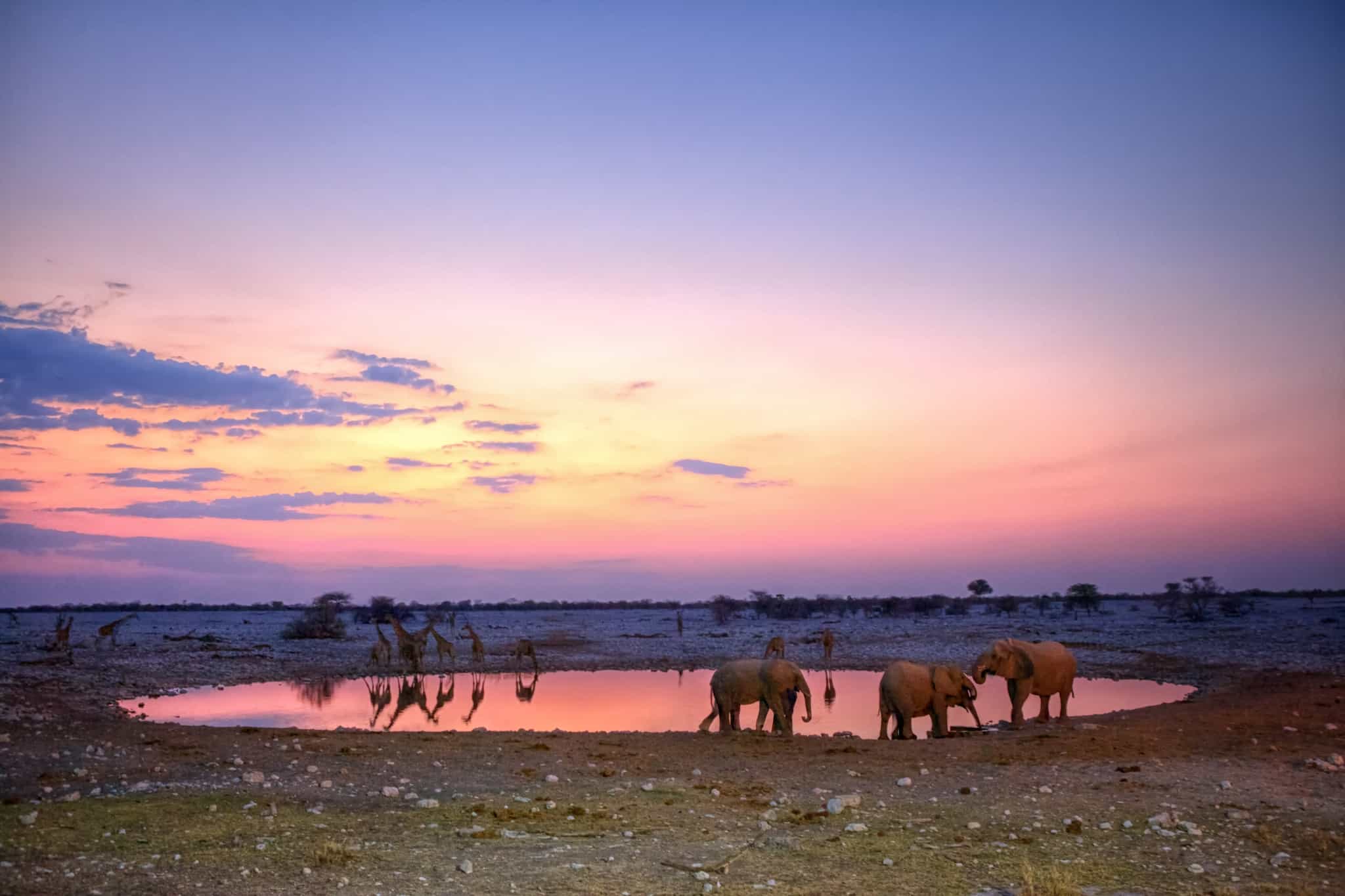 The Okakuejo waterhole in Etosha, Namibia