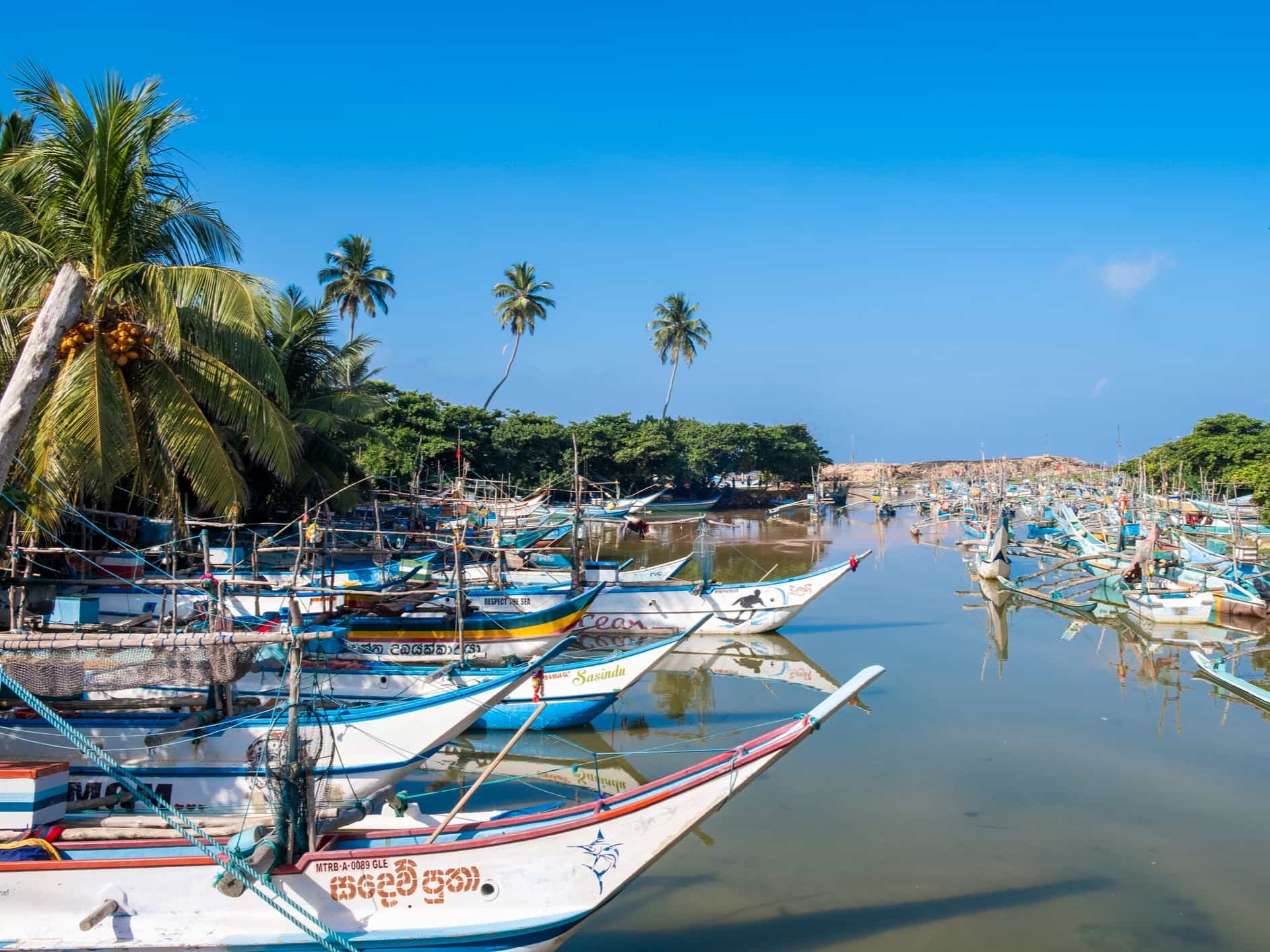 Fishing boats in Negombo, Sri Lanka. Photo: GettyImages-1392756730
