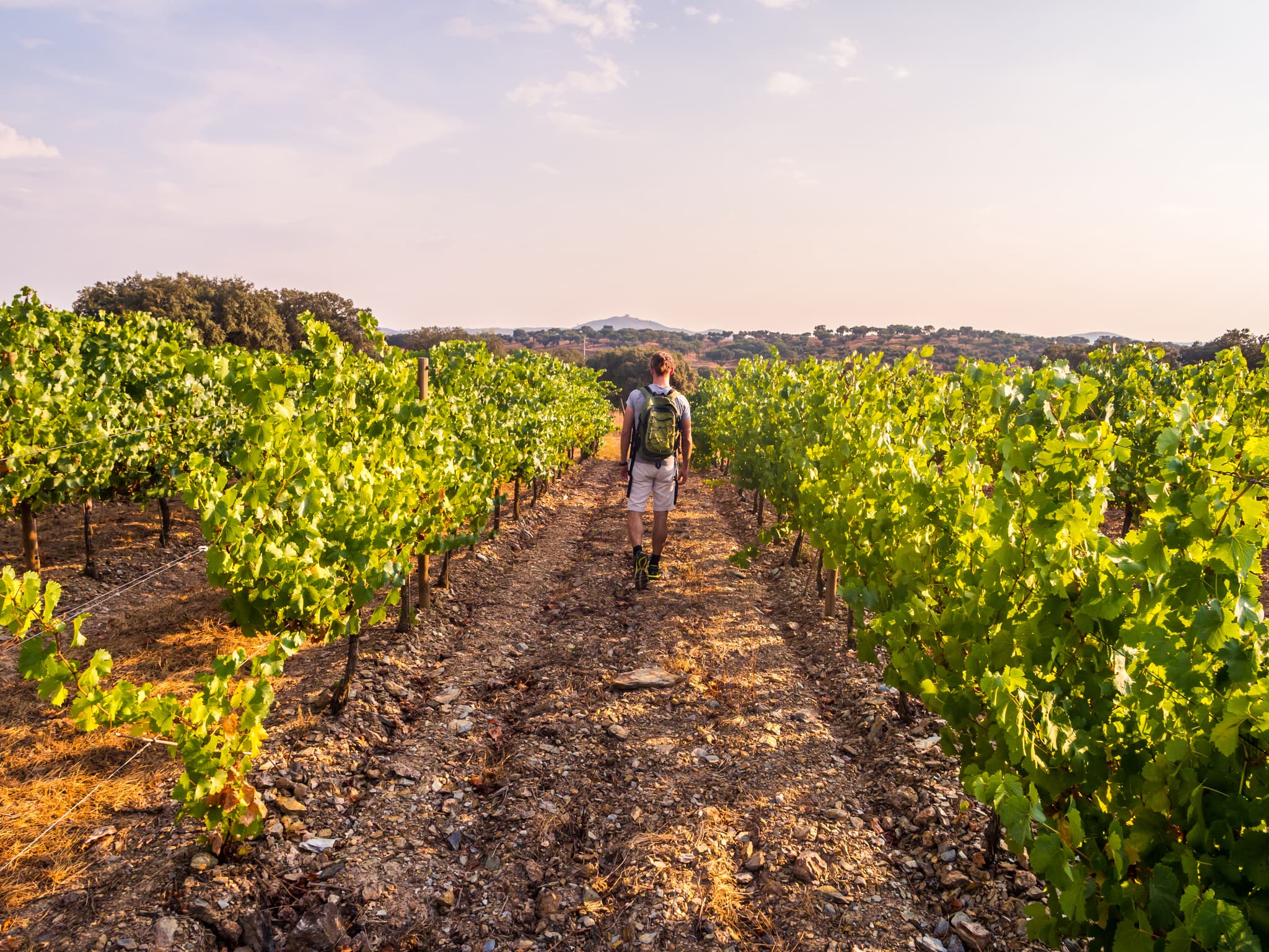 Hike and Explore the Wine Trails of Portugal