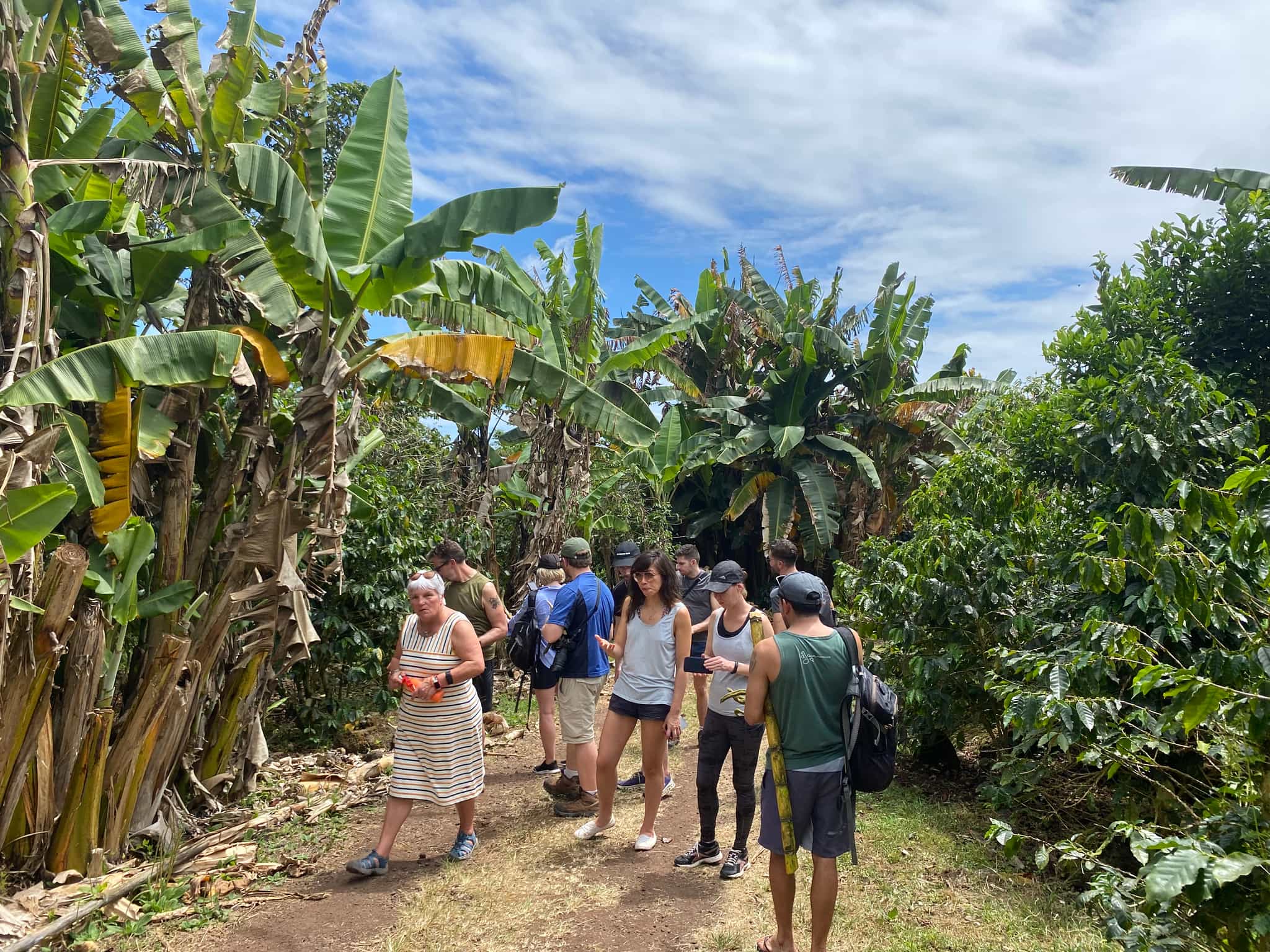 A group of people explore a coffee farm in the Santa Cruz highlands of the Galapagos.