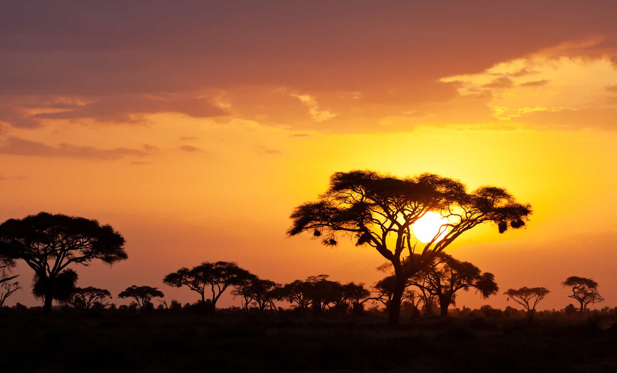 African sunset, Kenya