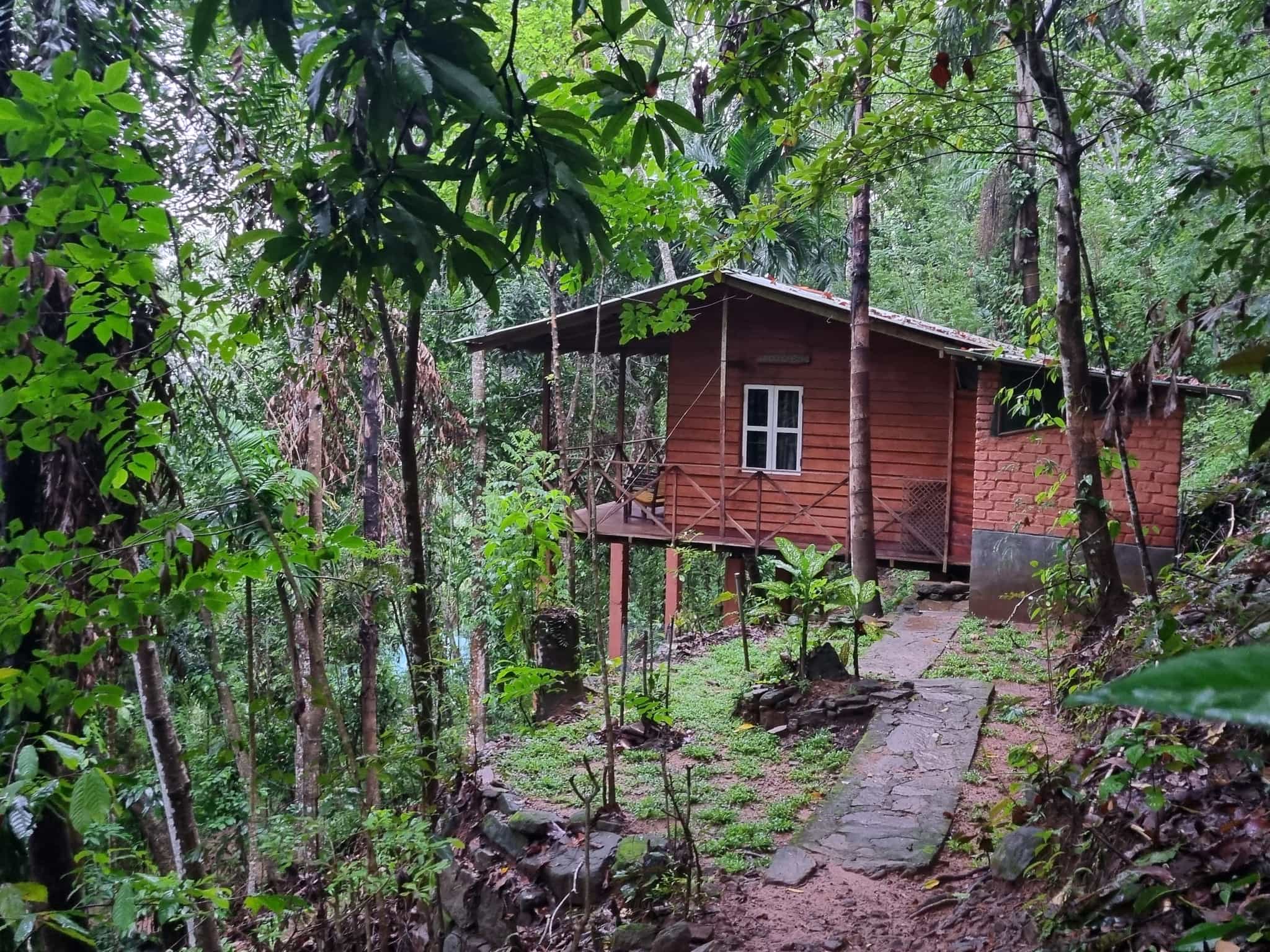 Polwaththa martamarinelli