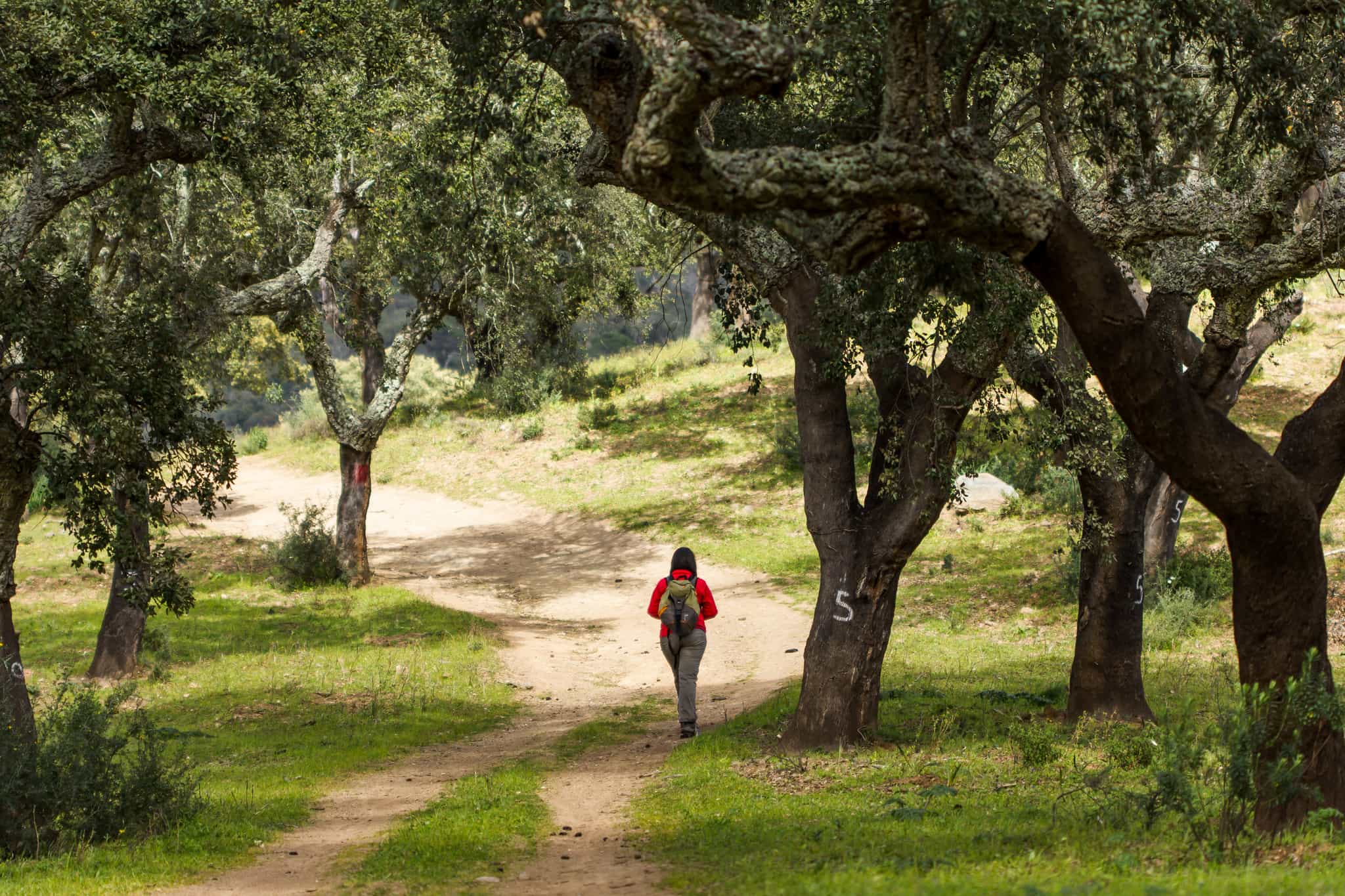 Hiking in Alentejo shutterstock 400764952