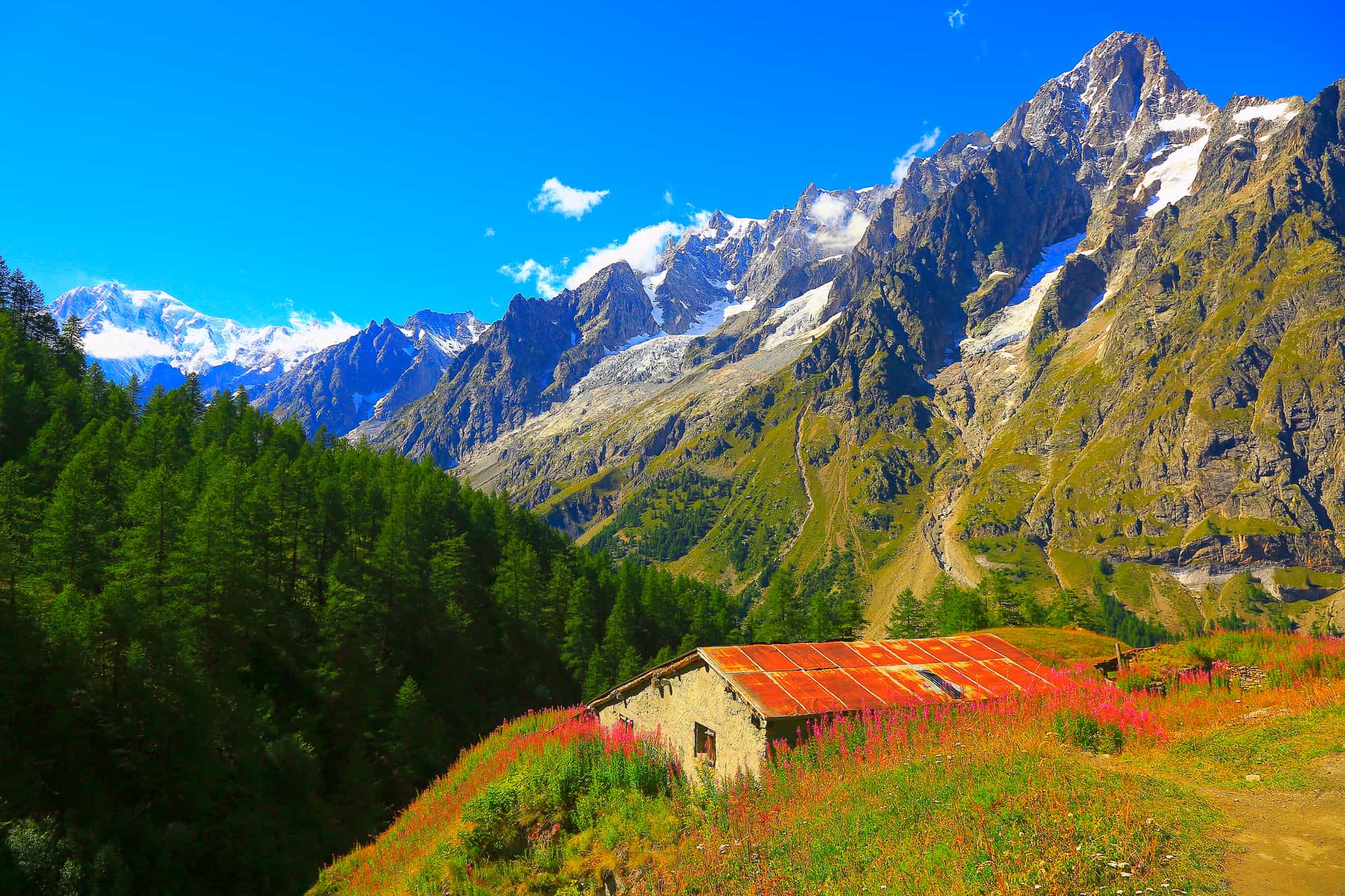 Mont Blanc and the Grandes Jorasses with an Alpine meadow landscape, Courmayeur, Italy. Photo: GettyImages-487561382