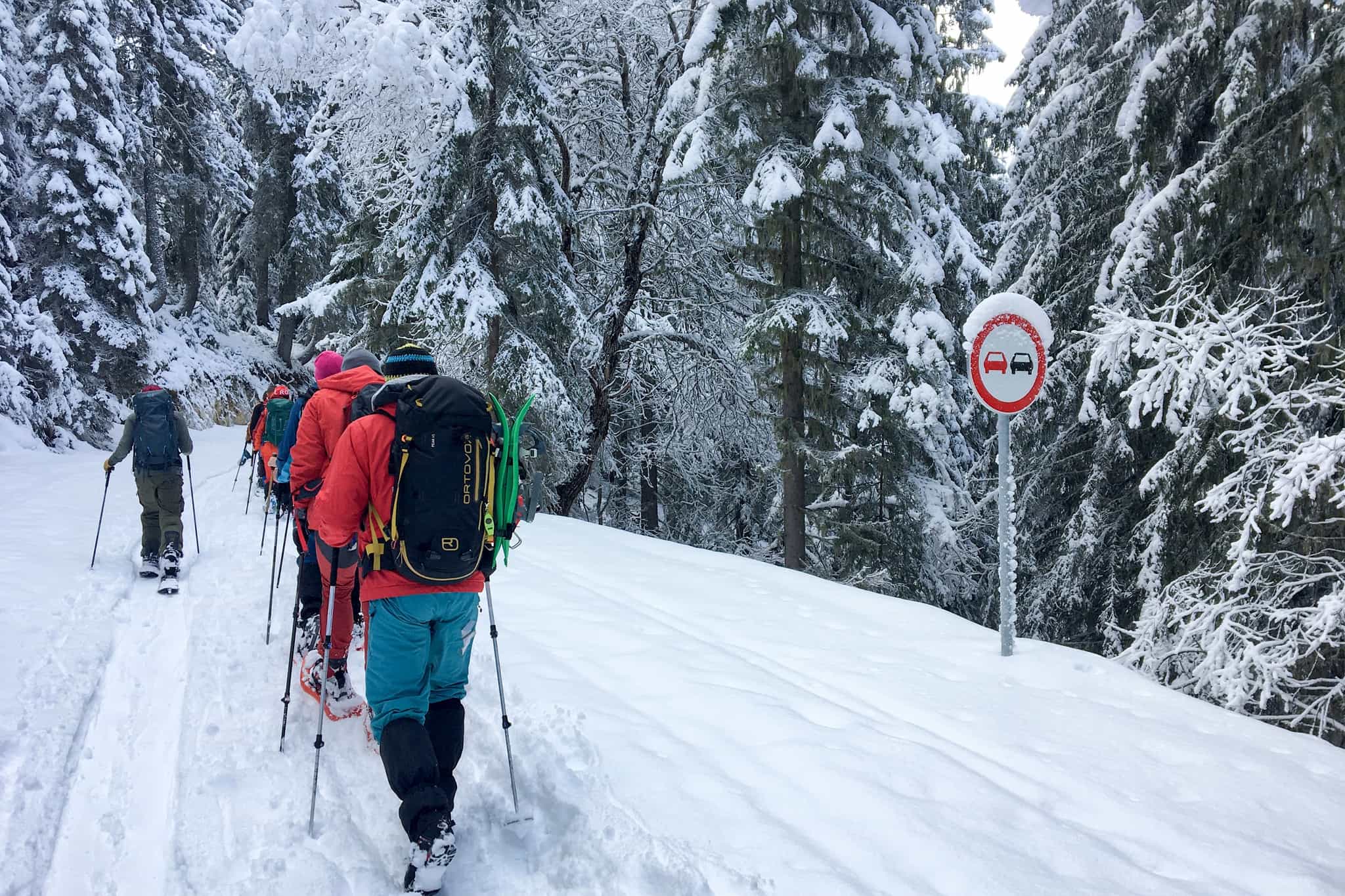 Snowshoeing in the forest, Bulgaria. Photo: Host / Split the Mountain