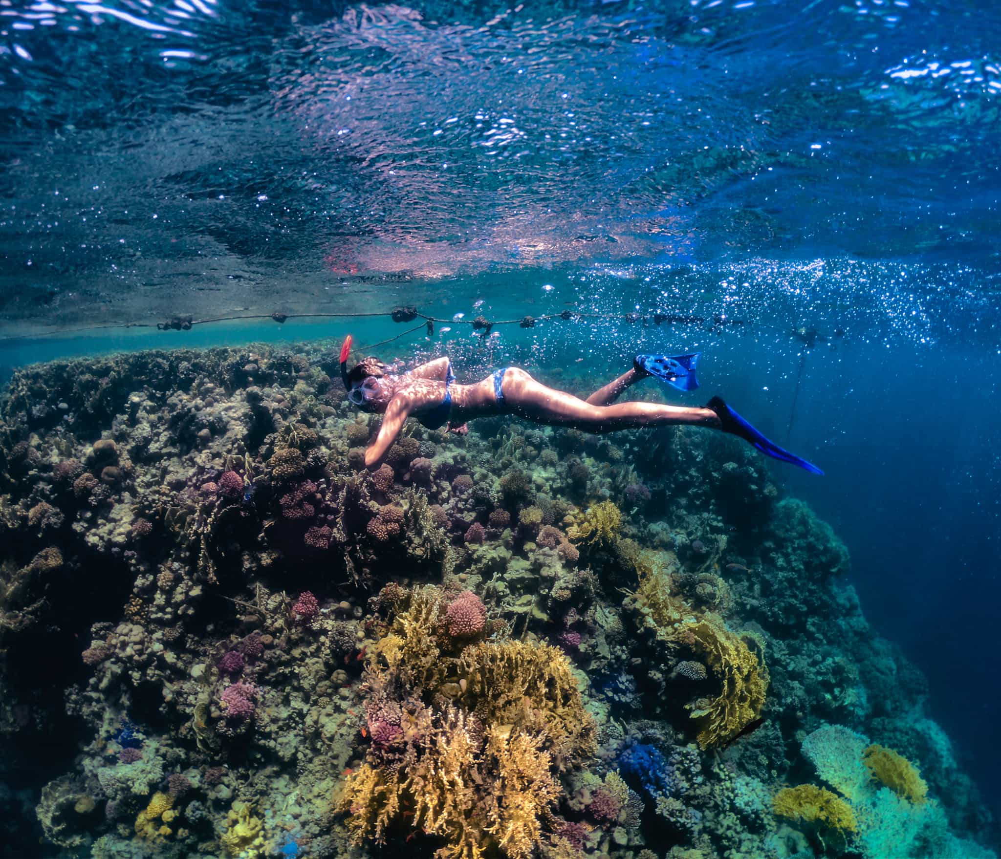 Snorkelling in the Red Sea, Sinai, Getty