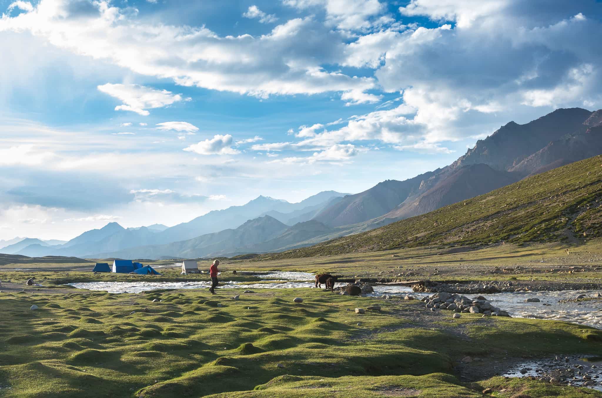Markha Valley grassy camp, Ladakh, India. Photo: Host/Majestic Ladakh