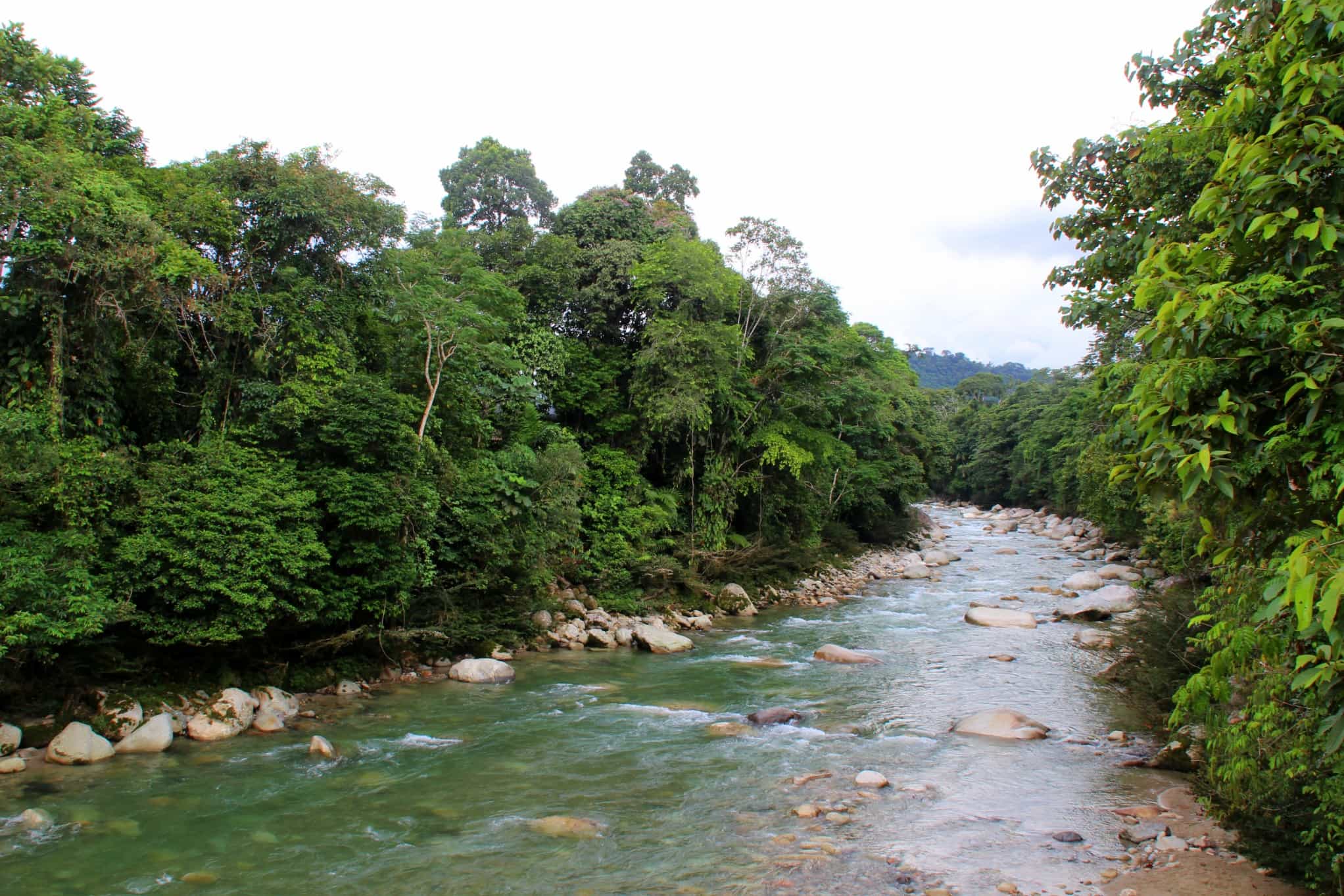 A river strewn with rocks in the Amazon Basin, Ecuador.