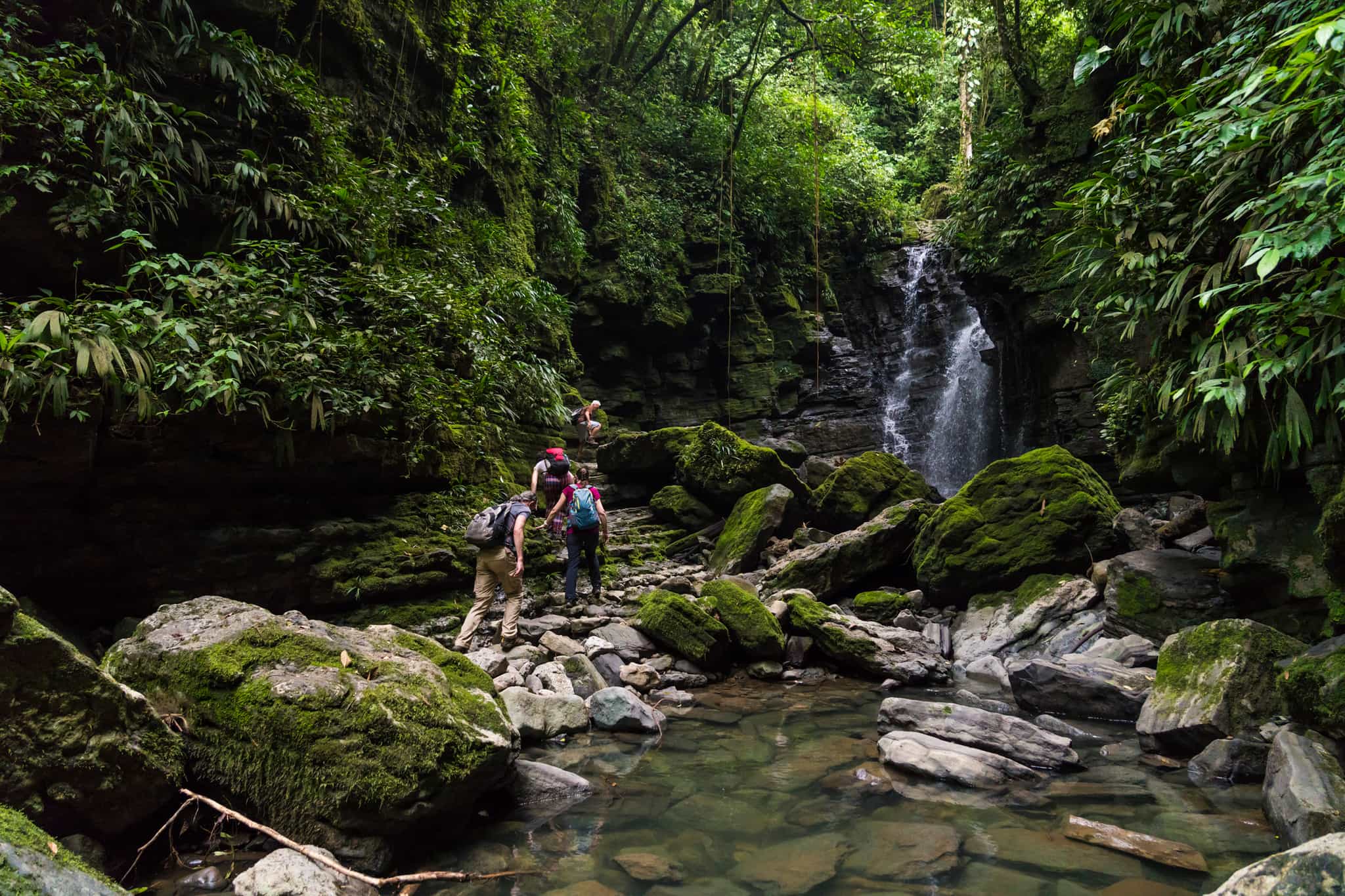 A group hikes next to a river in the Amazon rainforest, Ecuador.