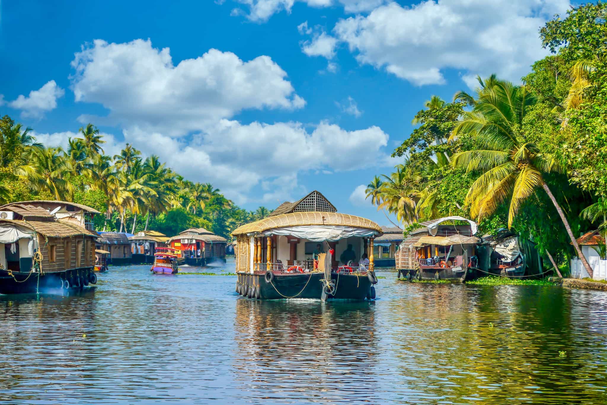 Kerala, India. Photo: GettyImages-1299066674
