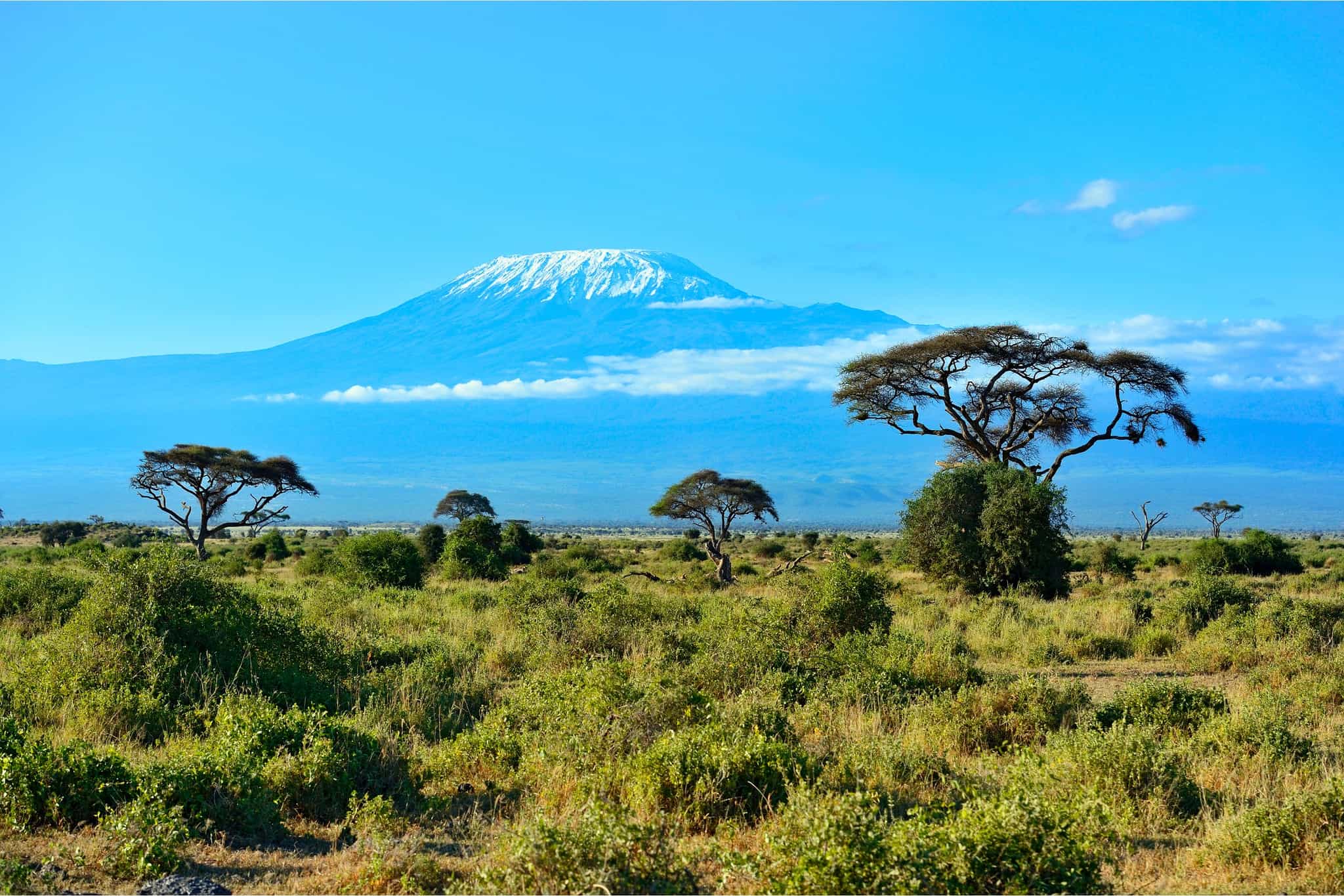Kilimanjaro. Photo Canva Link: https://www.canva.com/photos/MADAiBbJHUk-mount-kilimanjaro/