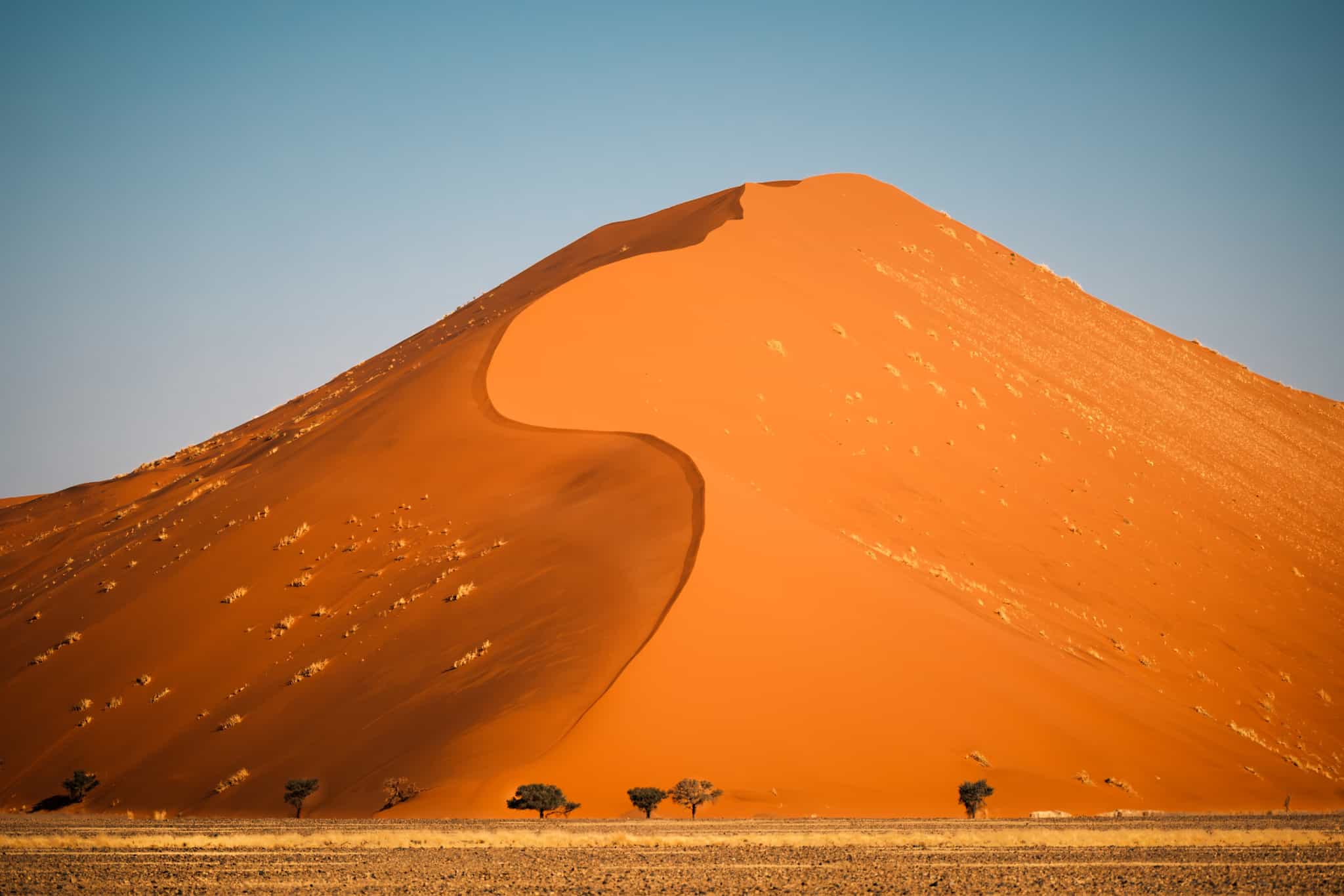 Dune 40, Sossusvlei area, Namibia. Photo: Shutterstock 2372824587