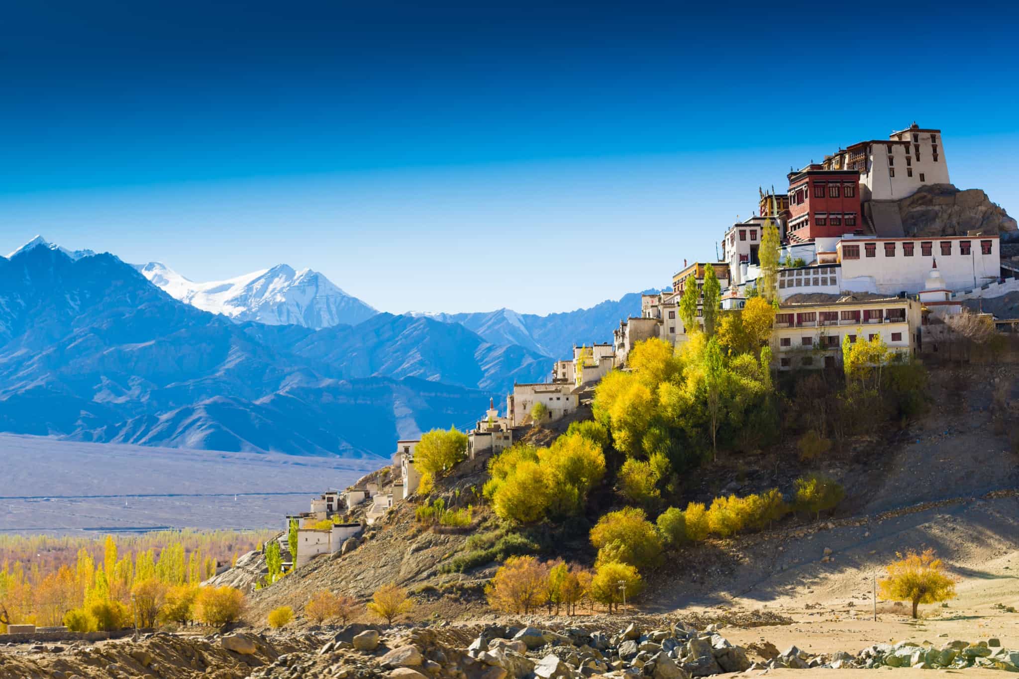 Buildings of Leh, Ladakh, India. Photo: GettyImages-652147598