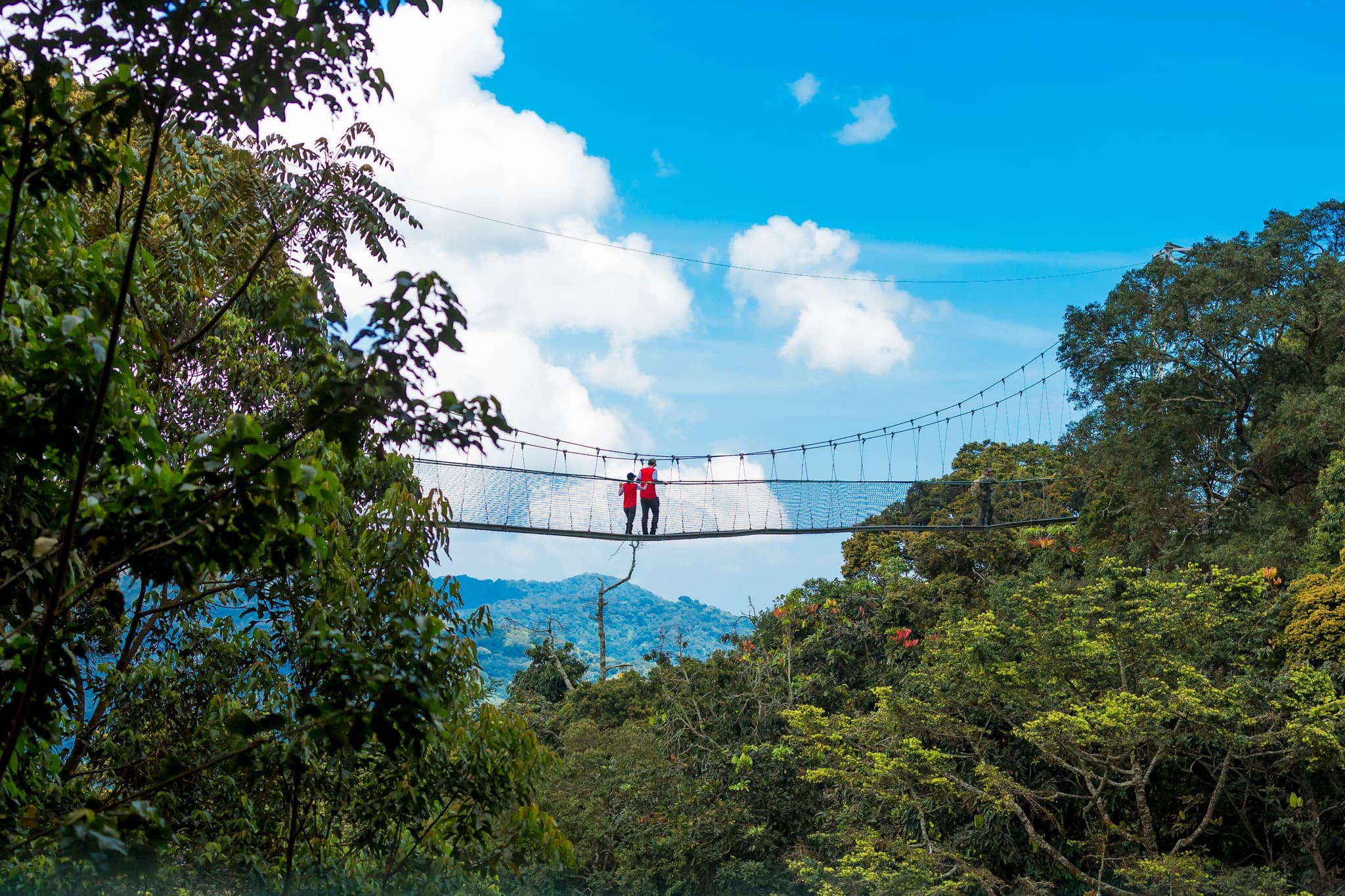 The Ultimate Adventure Through Rwanda