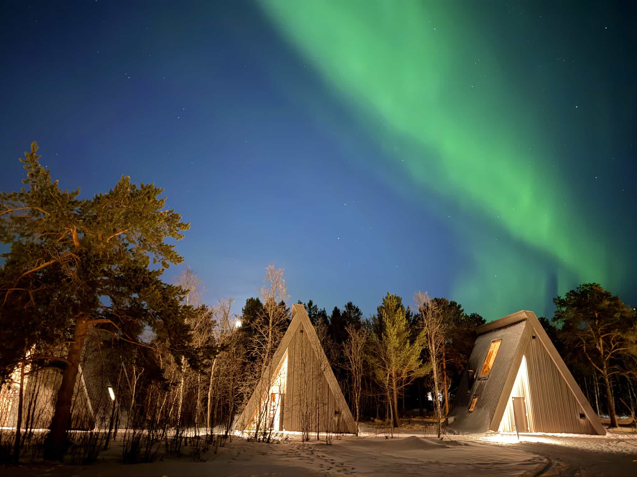 IMG 2085 Forest Suite, Holmen Husky: source: Holmen Husky (host)