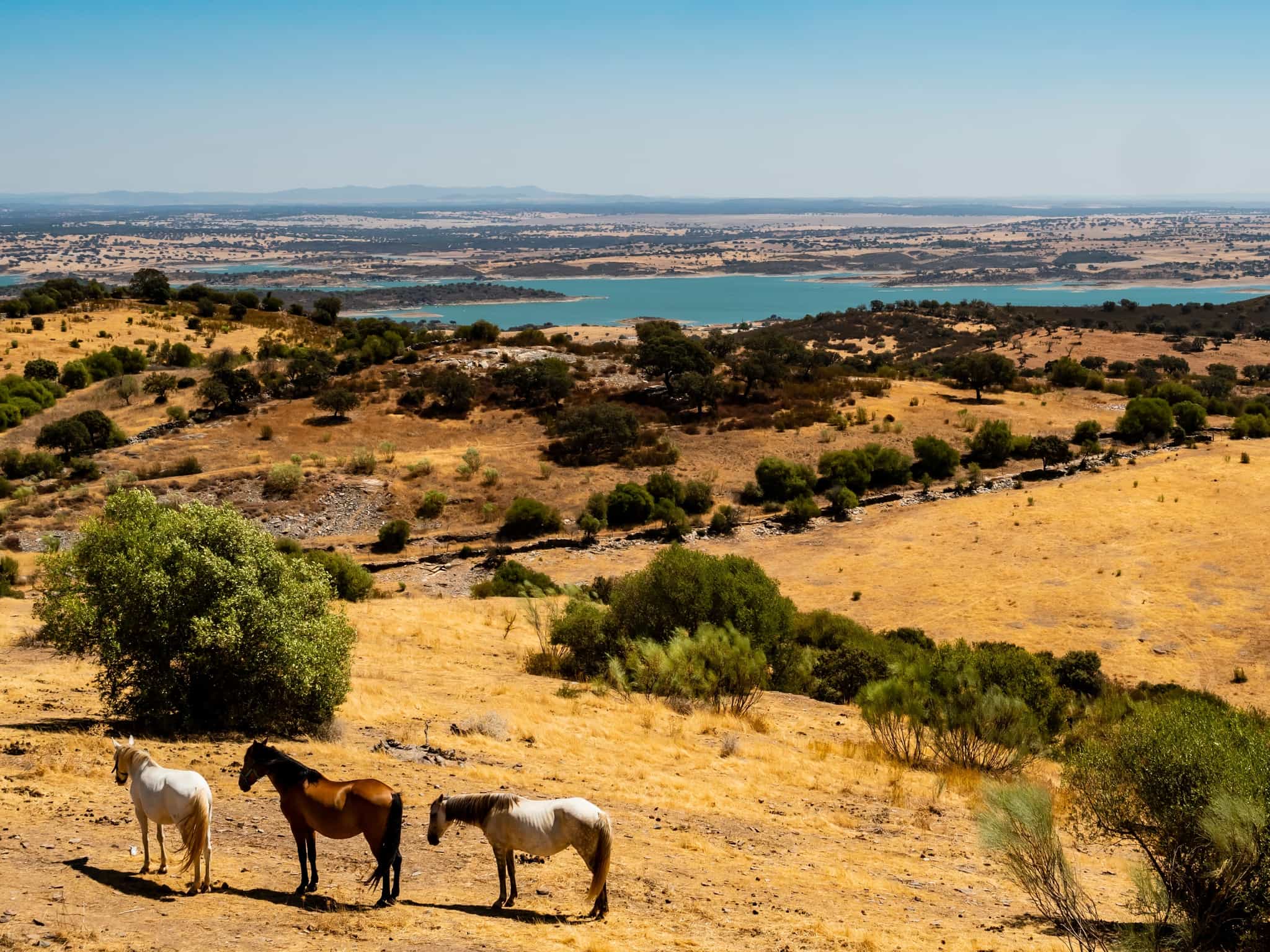 Alentejo and Alqueva lake shutterstock 2265655843