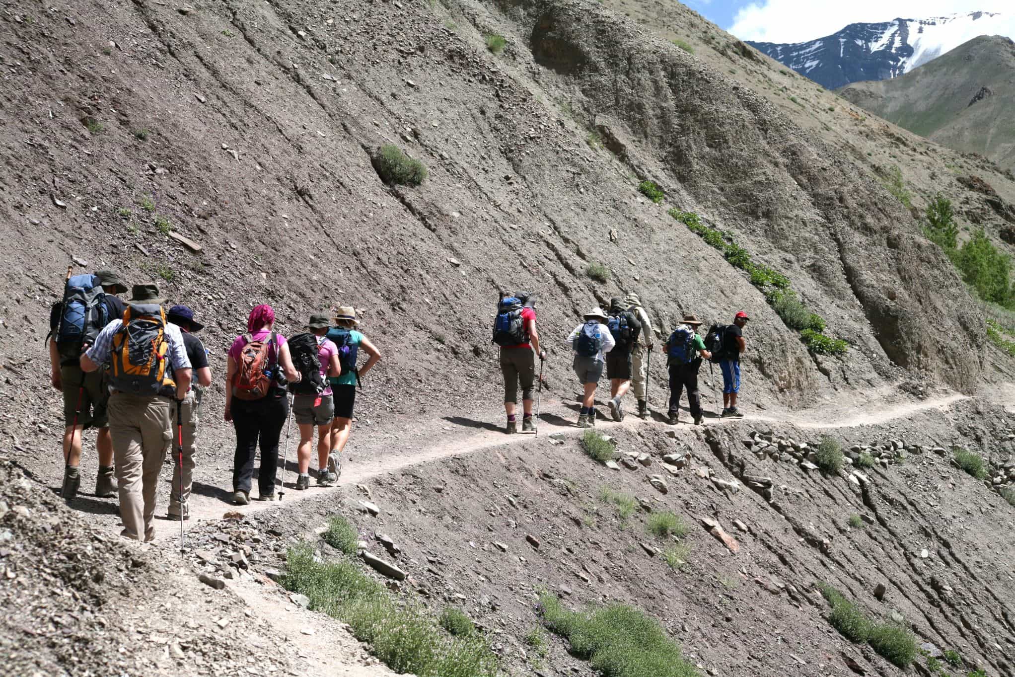Markha Valley Trek, Ladakh, India. Photo: Host/Majestic Ladakh