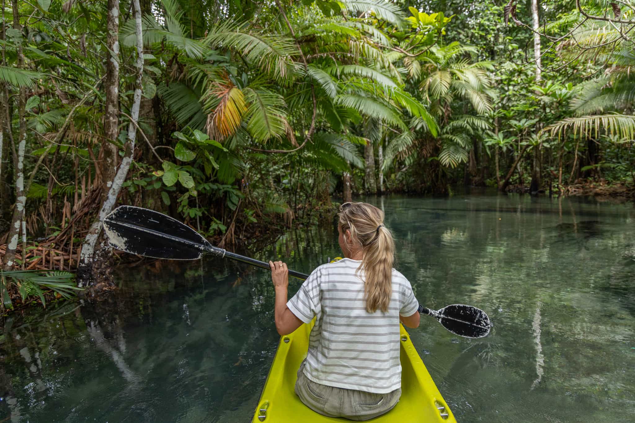 Woman kayaking through the mangroves in Costa Rica GettyImages-2153227786
